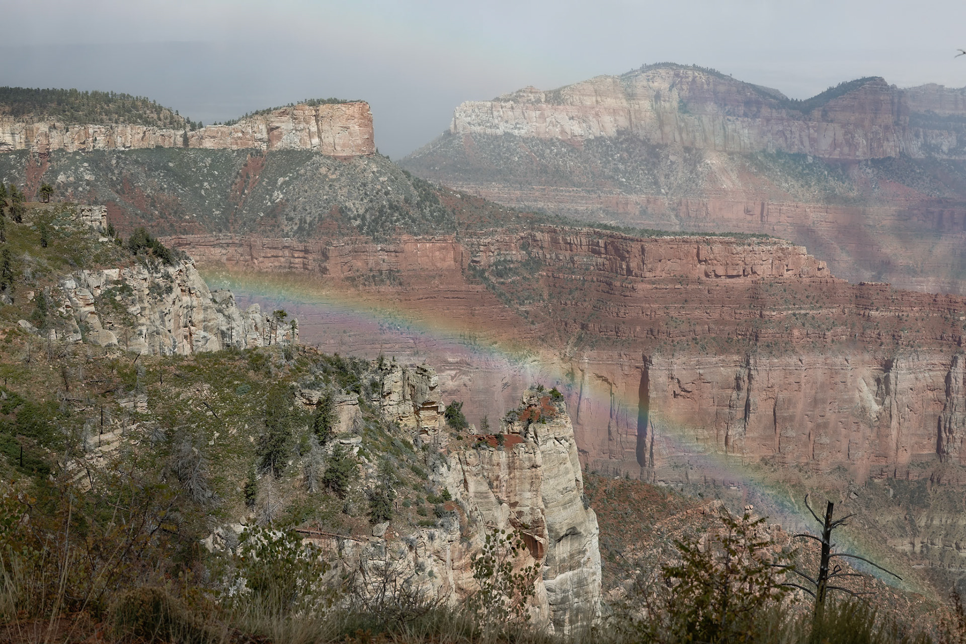 North Rim, Grand Canyon NP AZ