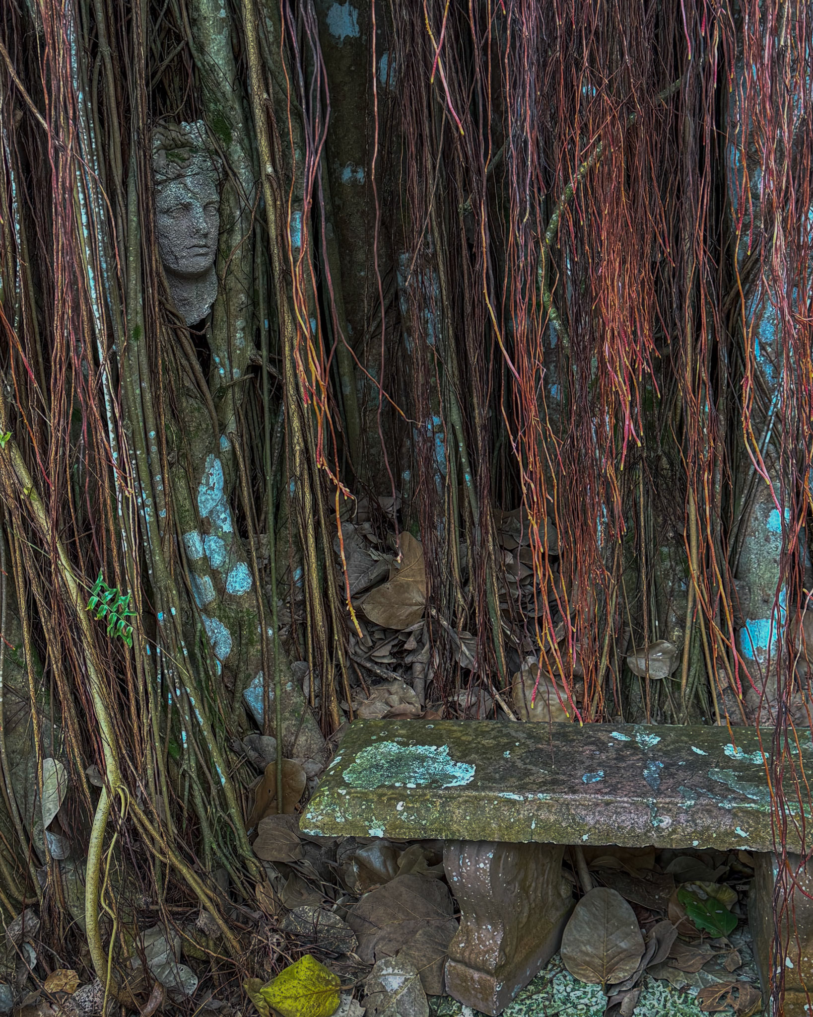 The Kampong, Coral Gables FL