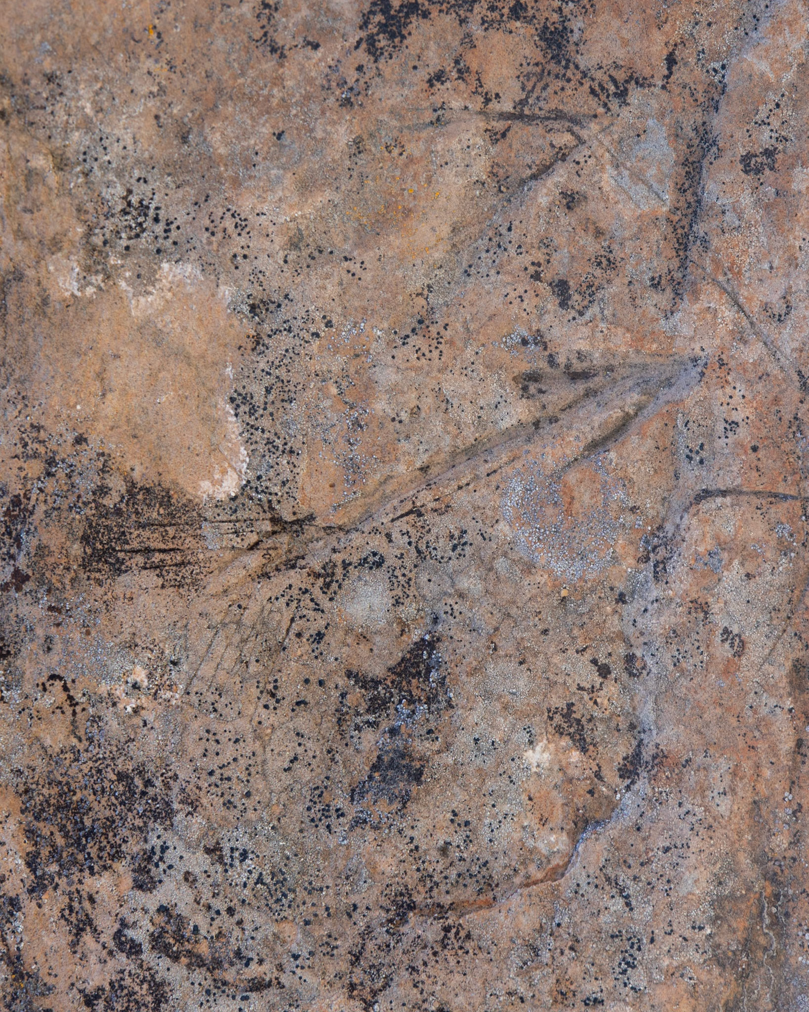 Hickison Petroglyphs, Austin NV