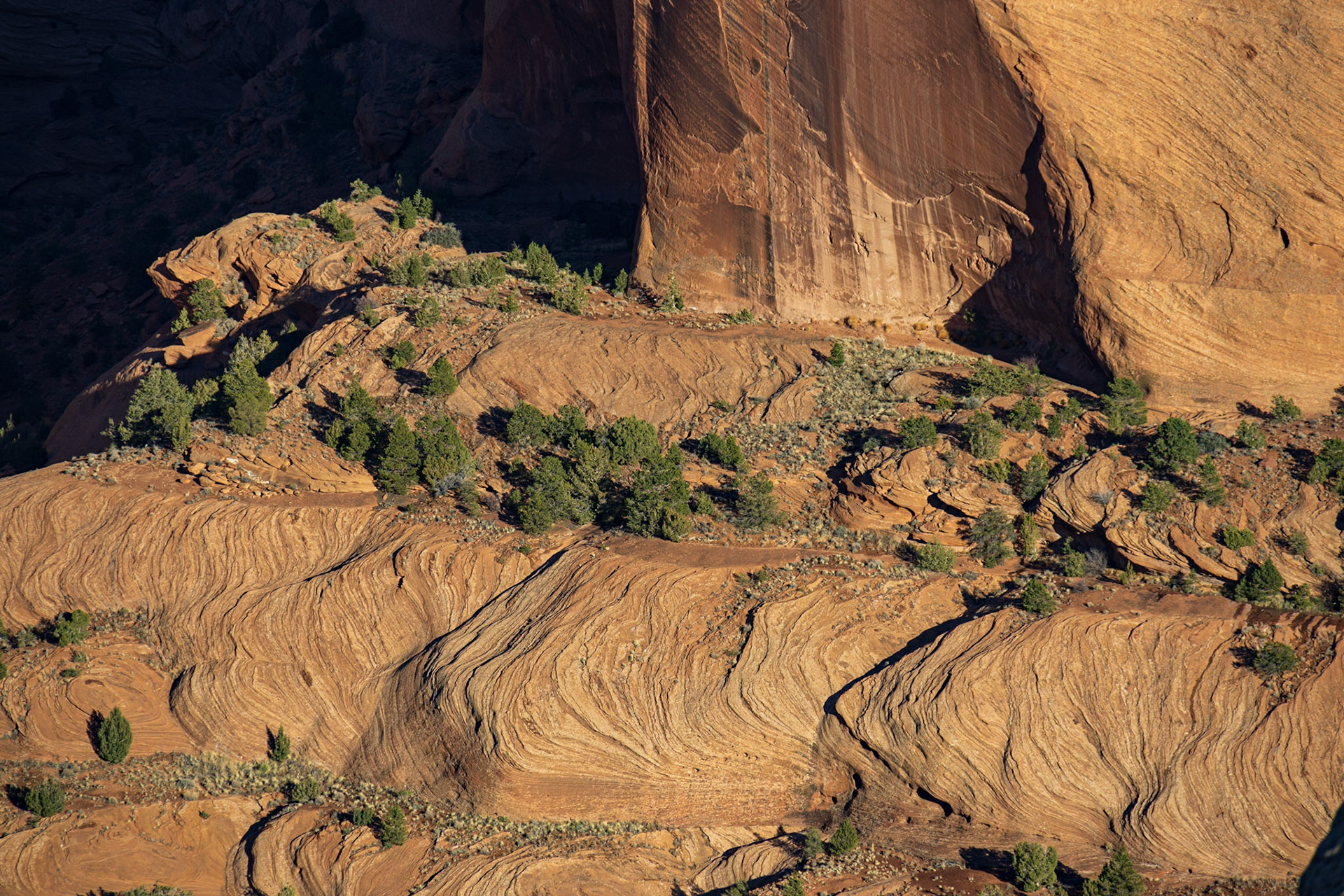Canyon de Chelly, AZ