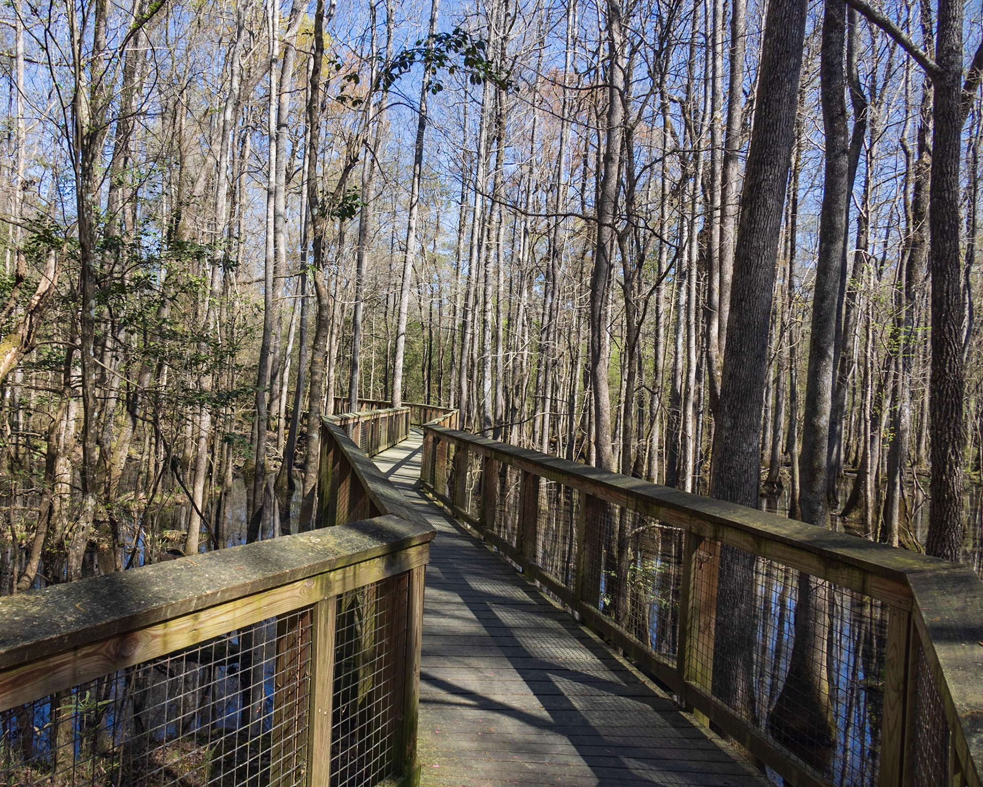 Congaree NP, SC