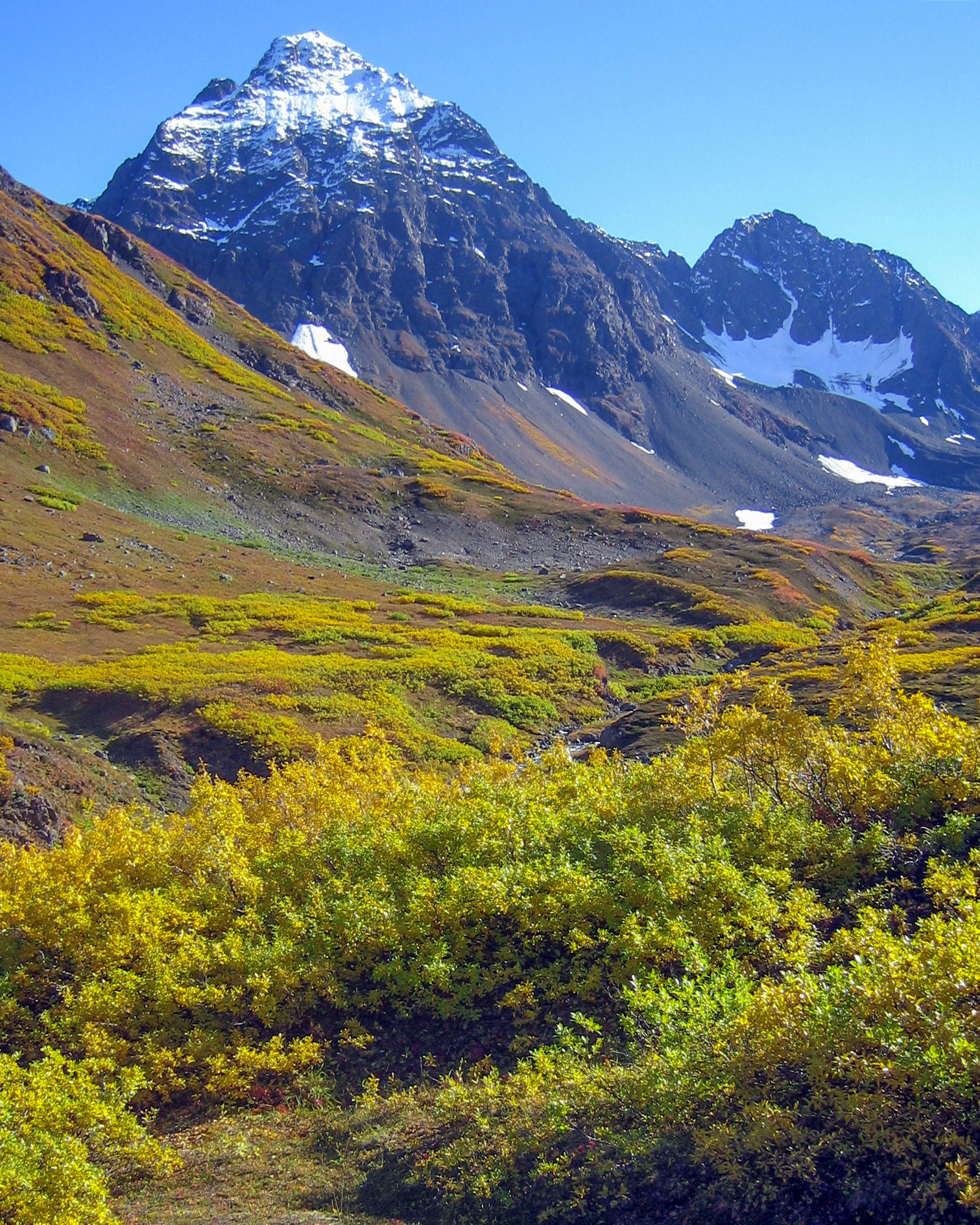 Chugach Mountains, AK