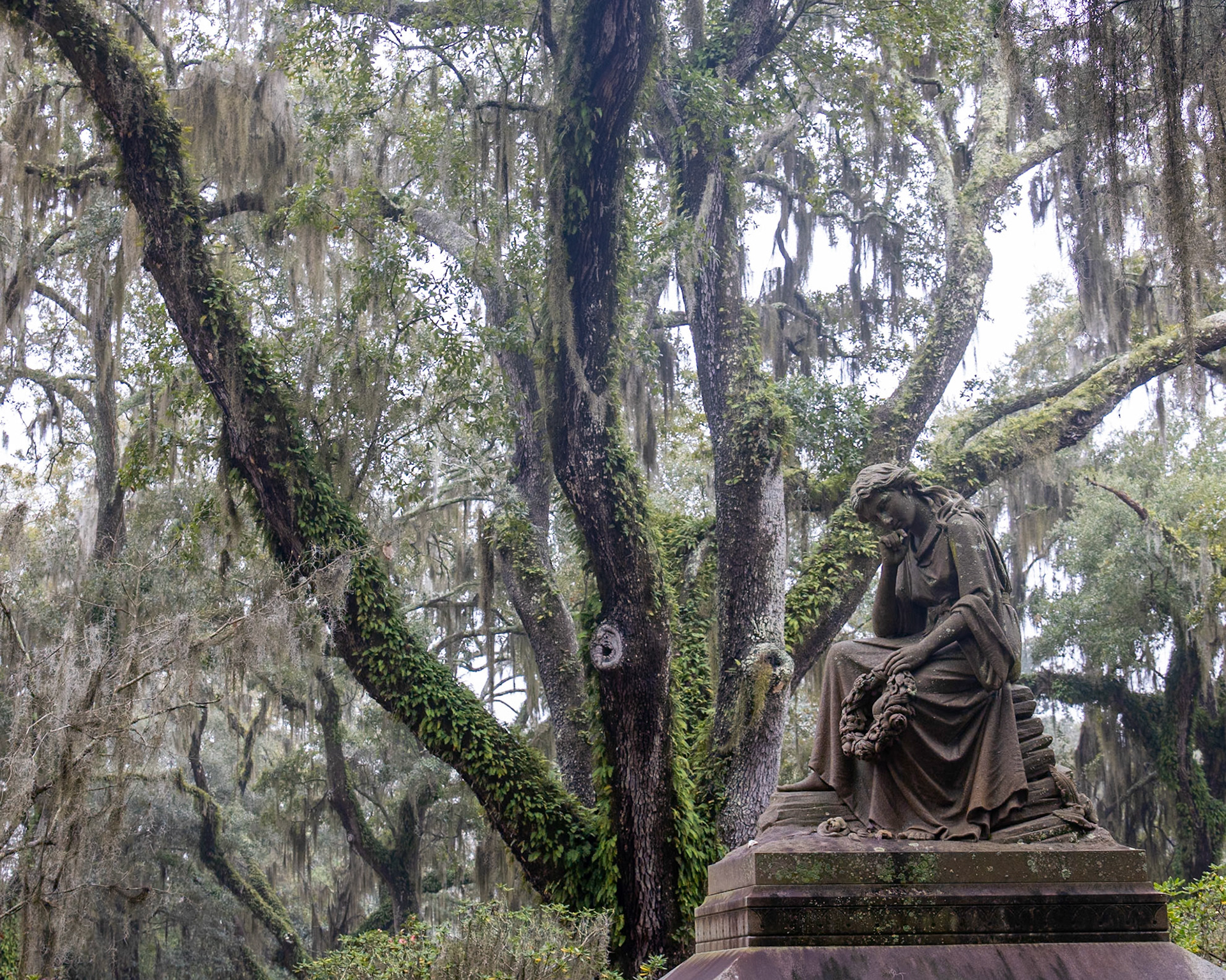 Bonaventure Cemetery, Savannah GA