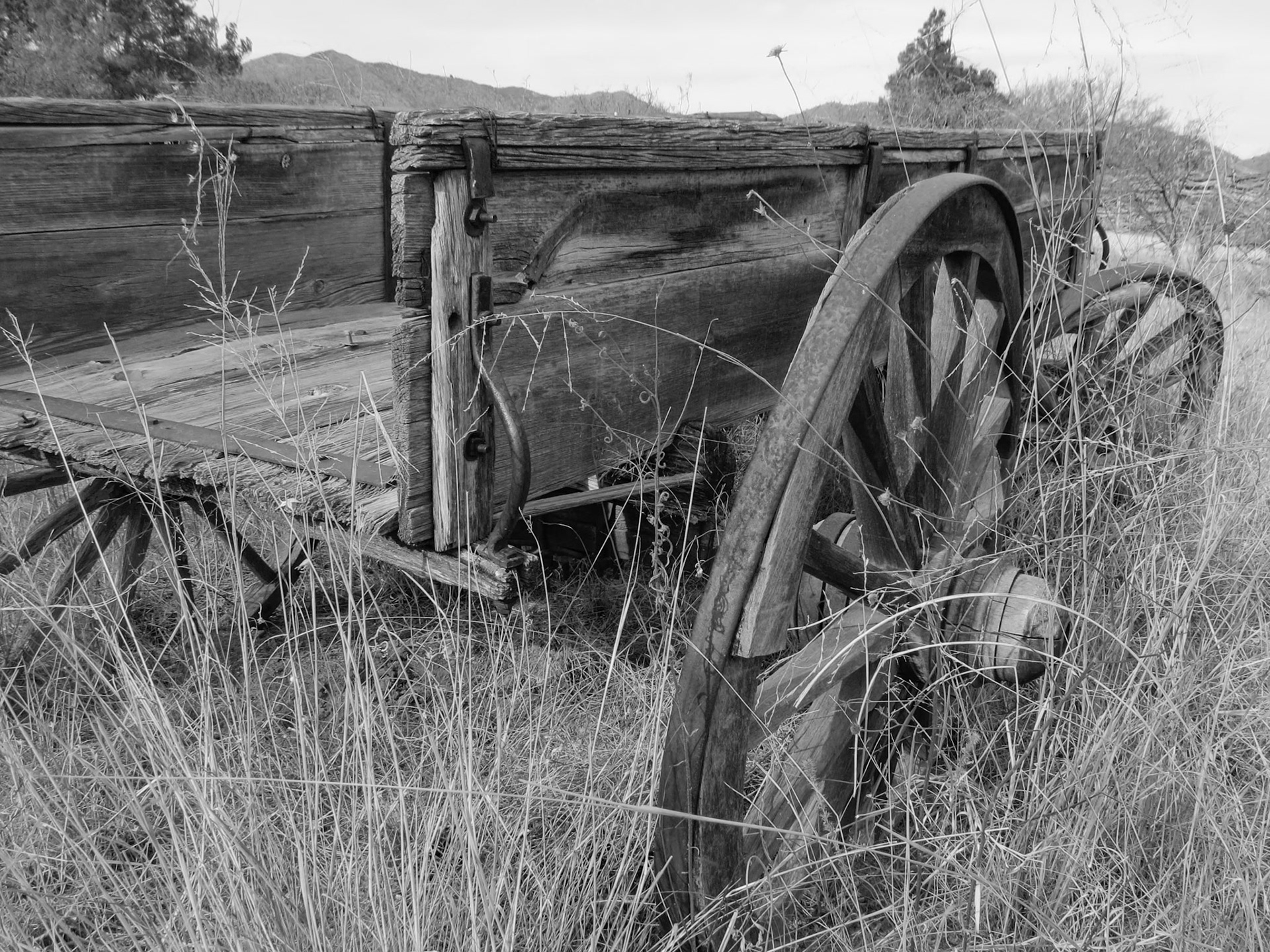 Bellota Ranch, Tanque Verde AZ