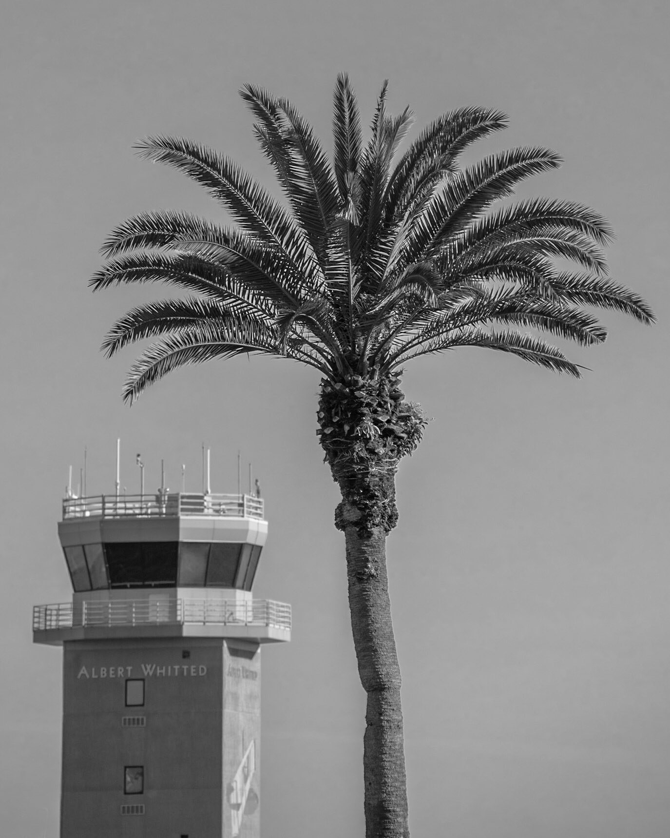 Demings Landing Park, St Petersburg FL