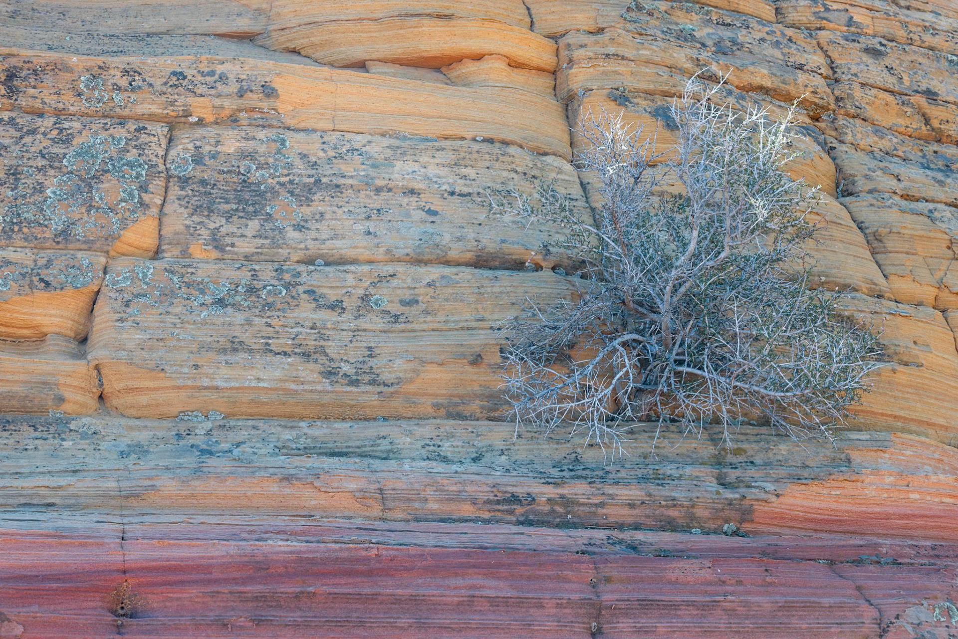 South Coyote Buttes, Vermillion Cliffs AZ