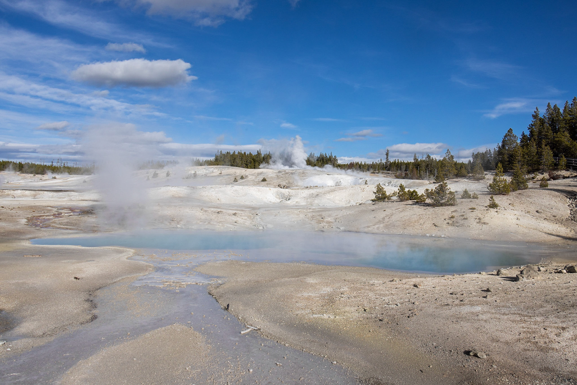 Norris Geyser Basin YNP WY