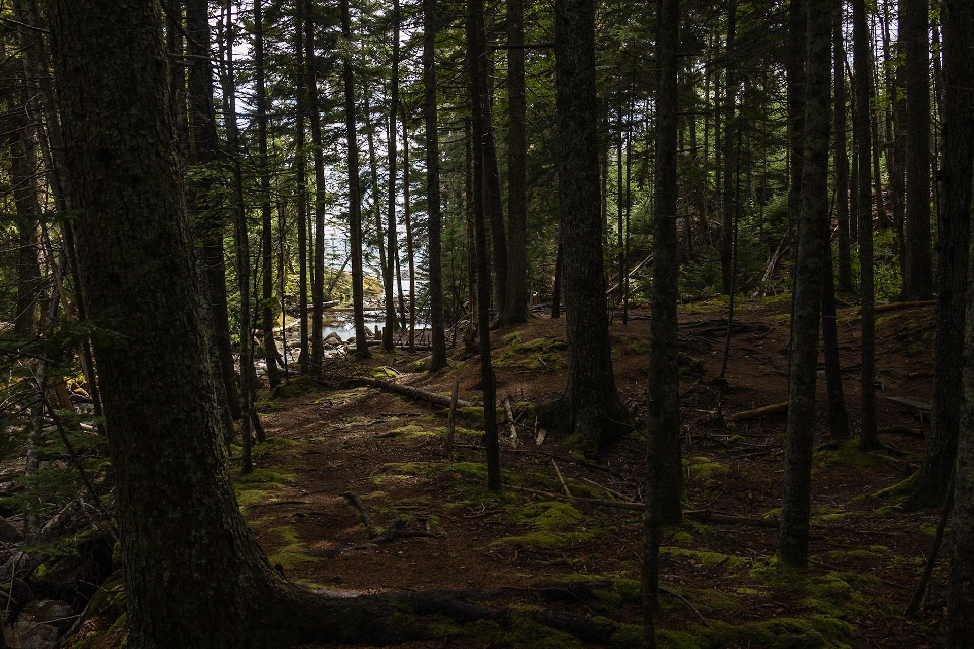 Hunters Beach Trail, ME