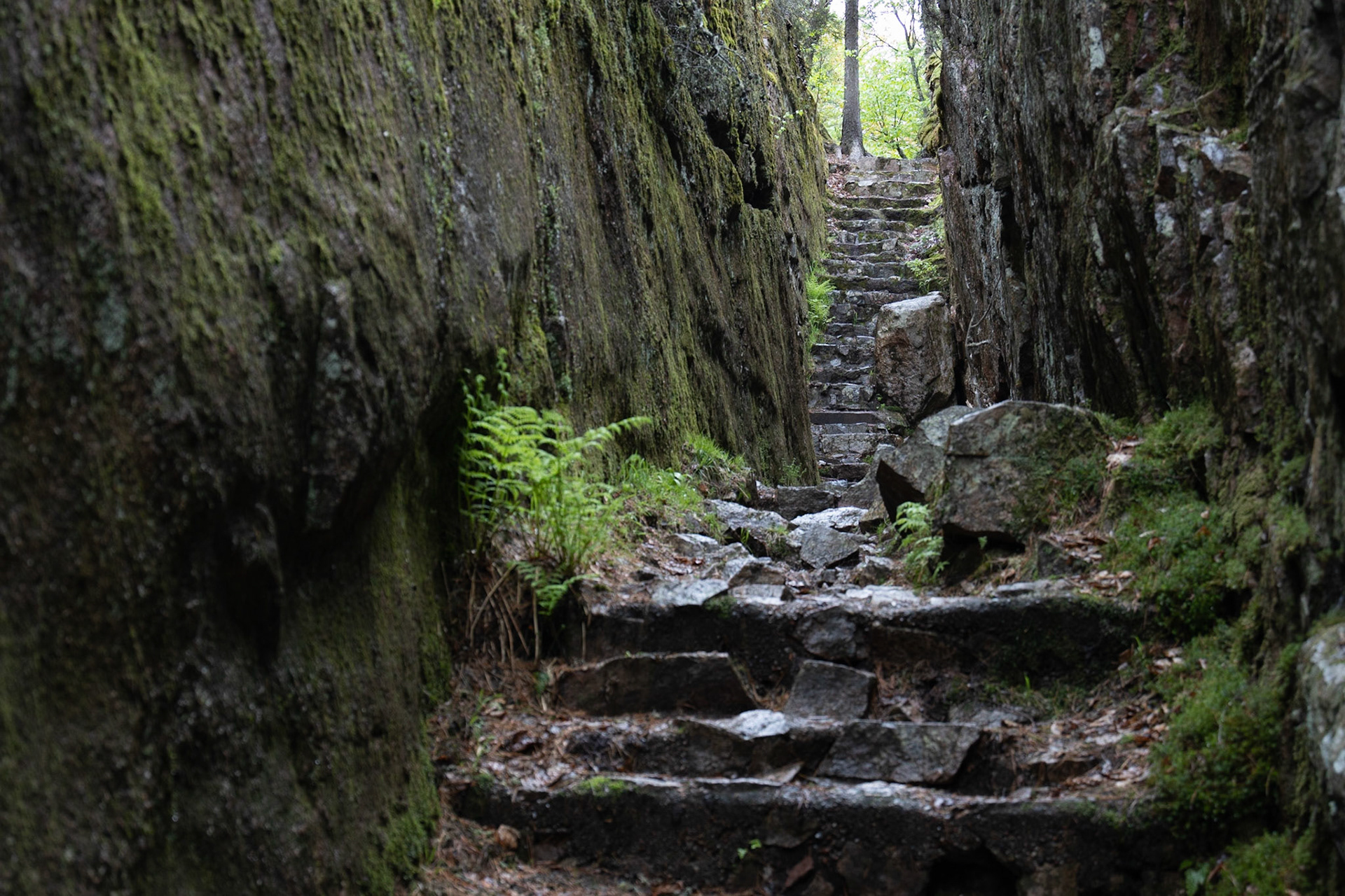 Lake Superior Provincial Park, ON