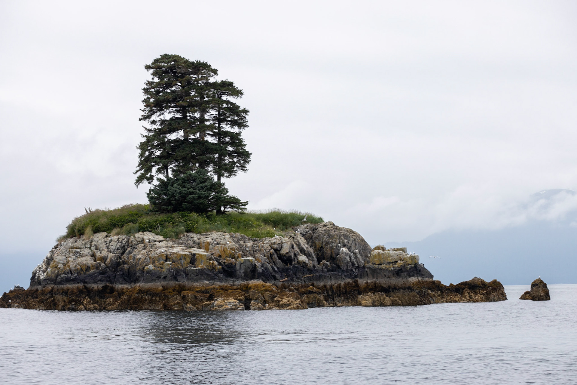 Prince William Sound AK