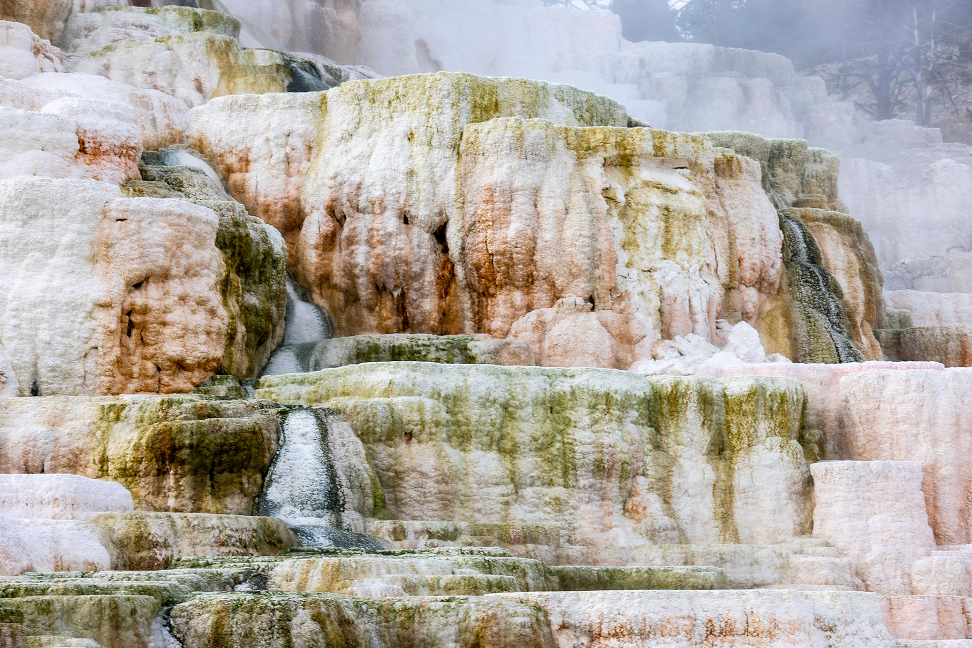 Mammoth Hot Springs, Yellowstone NP WY