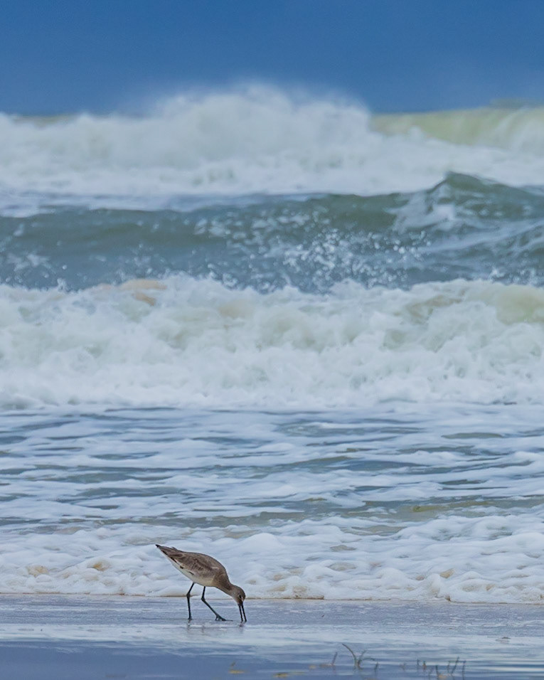 Saint George Island SP,FL