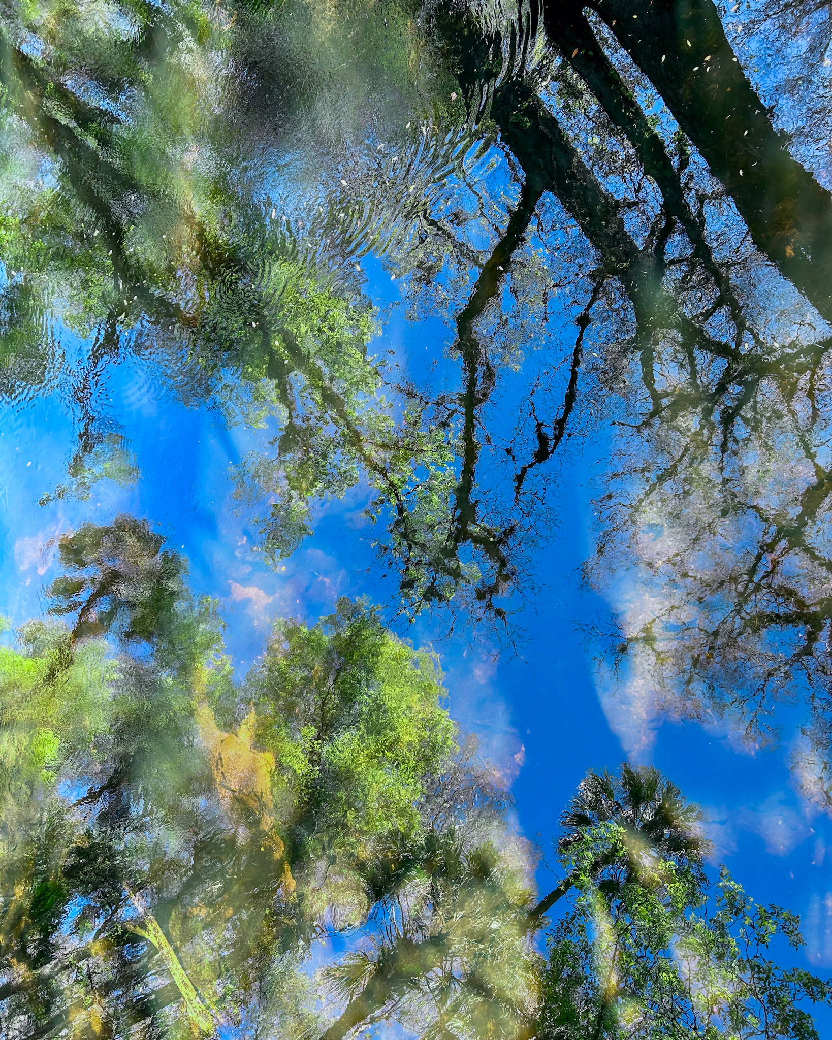 River Rapids Nature Trail, Tampa FL