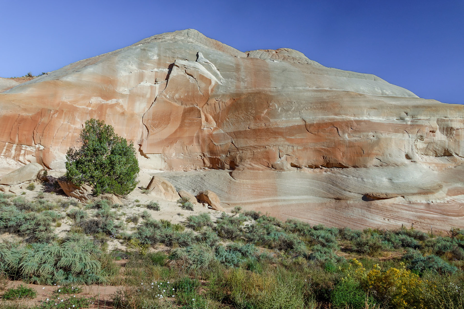 White House CG, Knab UT