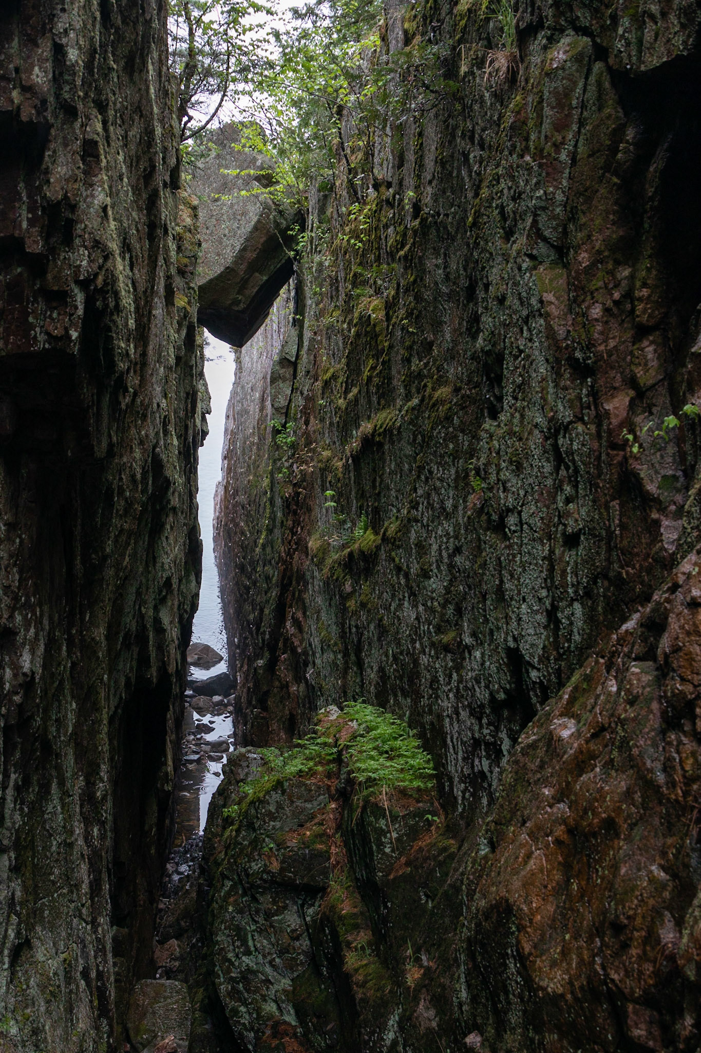 Lake Superior Provincial Park, ON