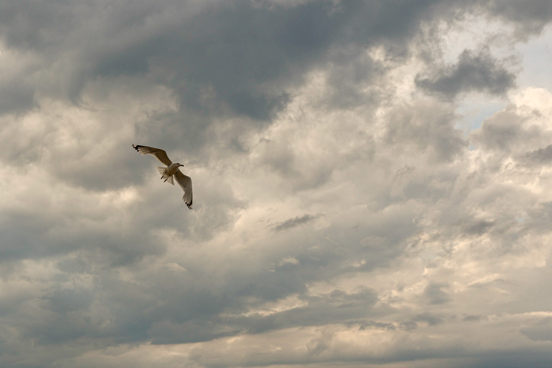 Ossinke SF CG, Lake Huron  MI