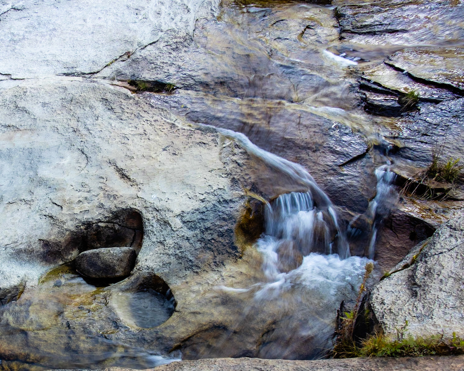 Woodard Creek, FR 14S29, Hartland CA