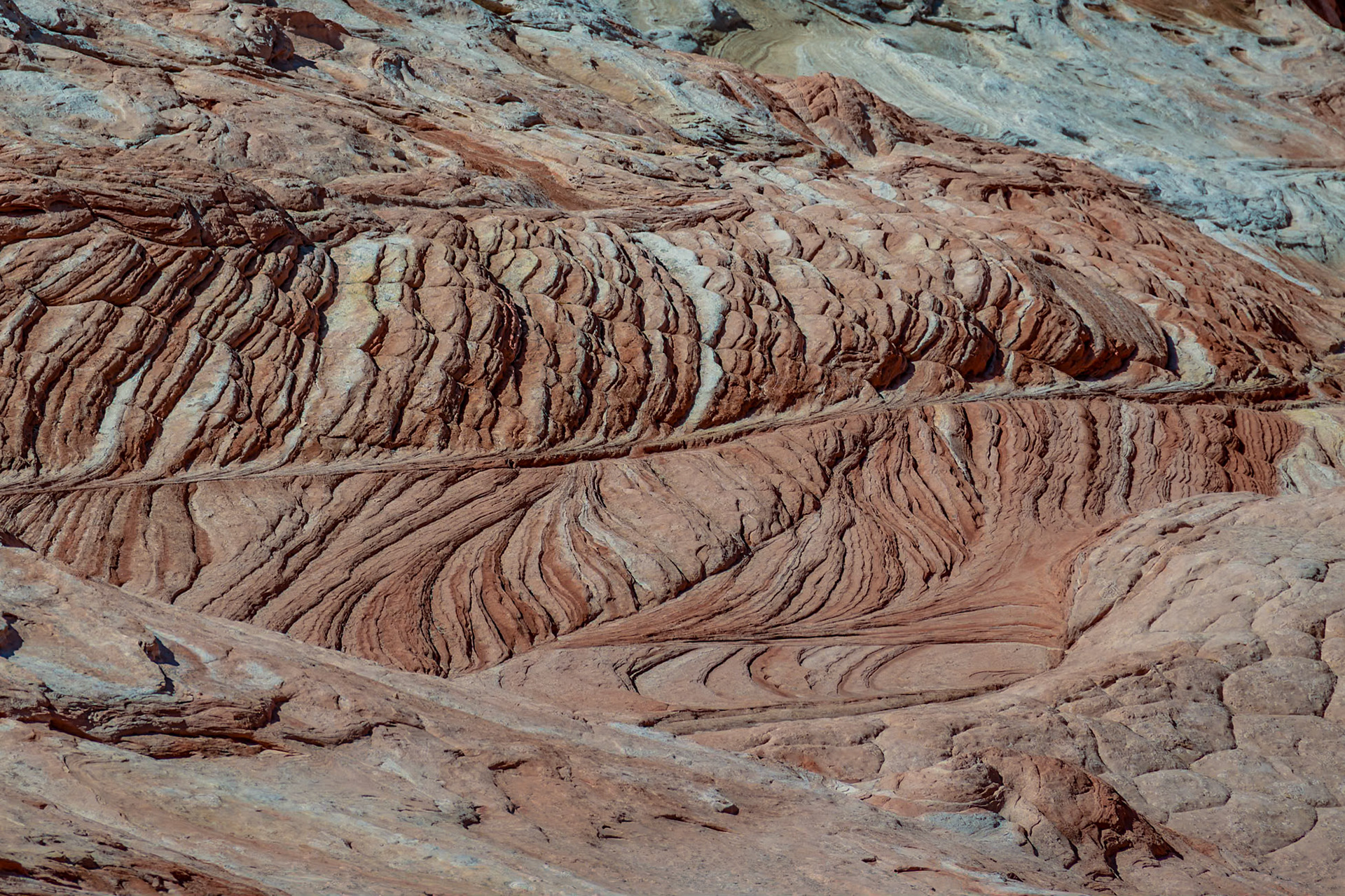 White Pockets, Vermillion Cliffs AZ