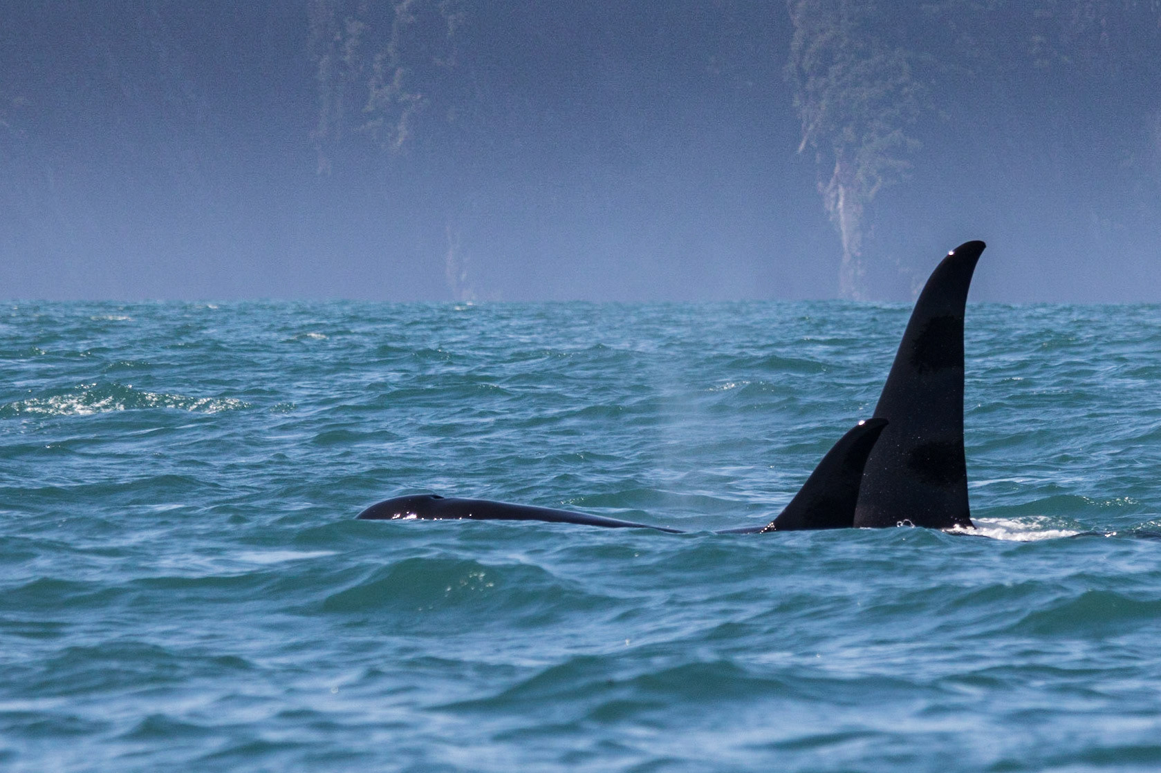 Resurrection Bay, AK
