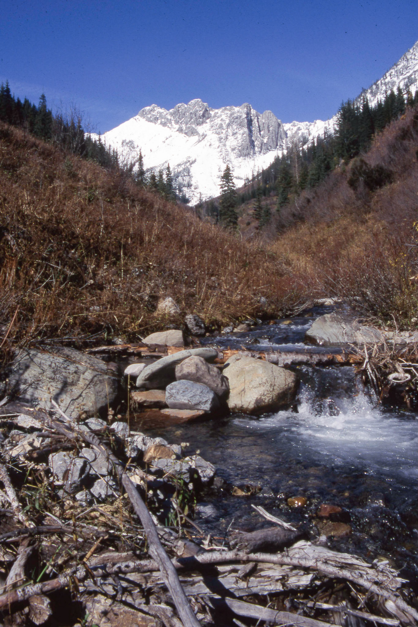Grizzly Basin, British Columbia