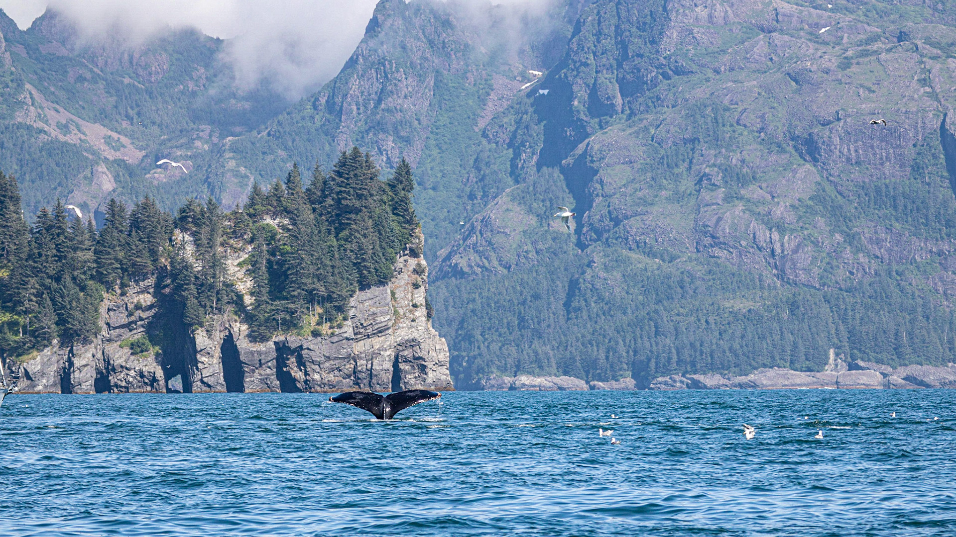 Resurrection Bay, AK