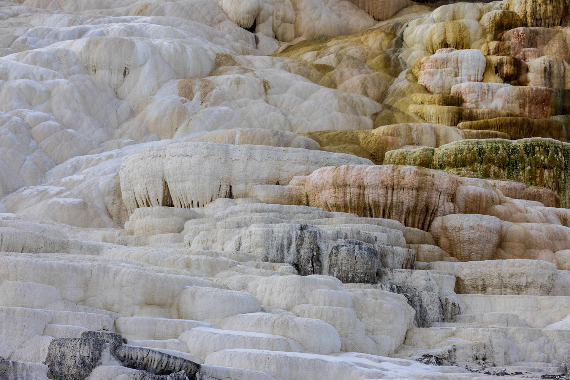 Mammoth Hot Springs, Yellowstone NP WY