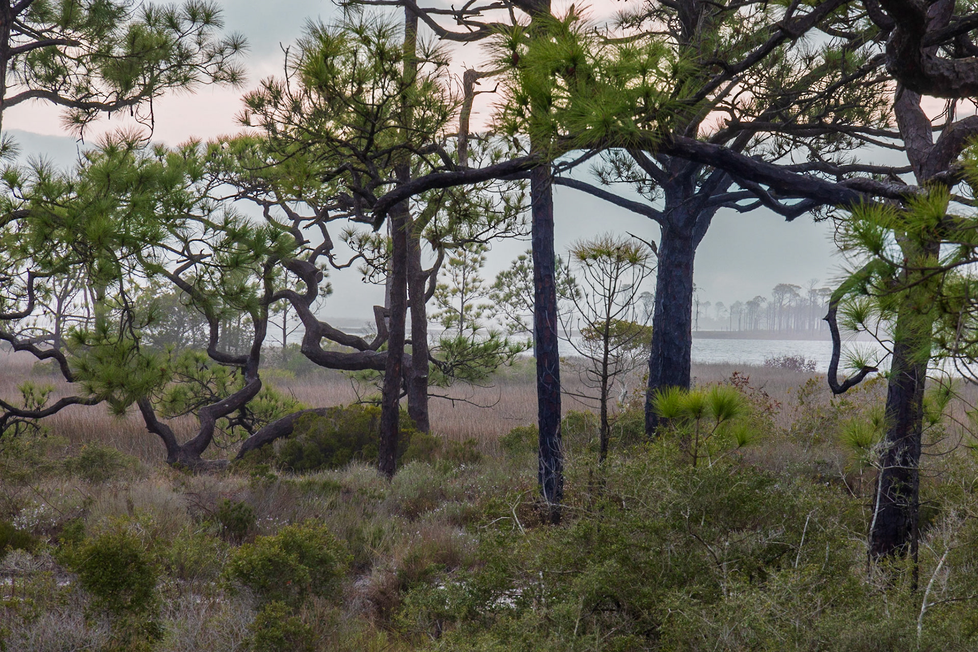 Saint George Island SP,FL