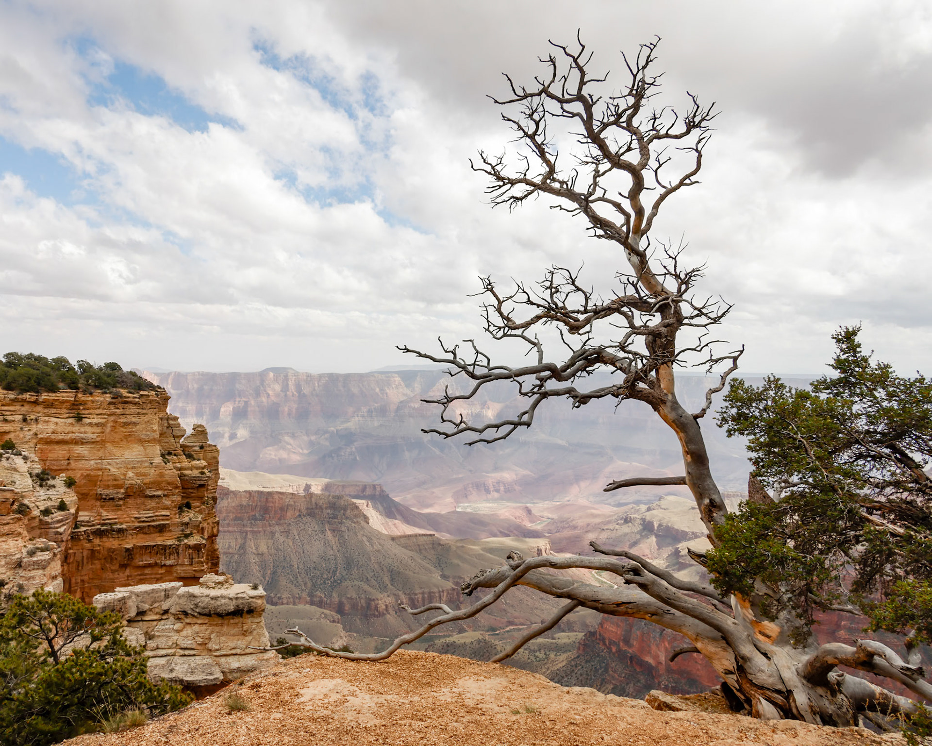 North Rim, Grand Canyon NP AZ