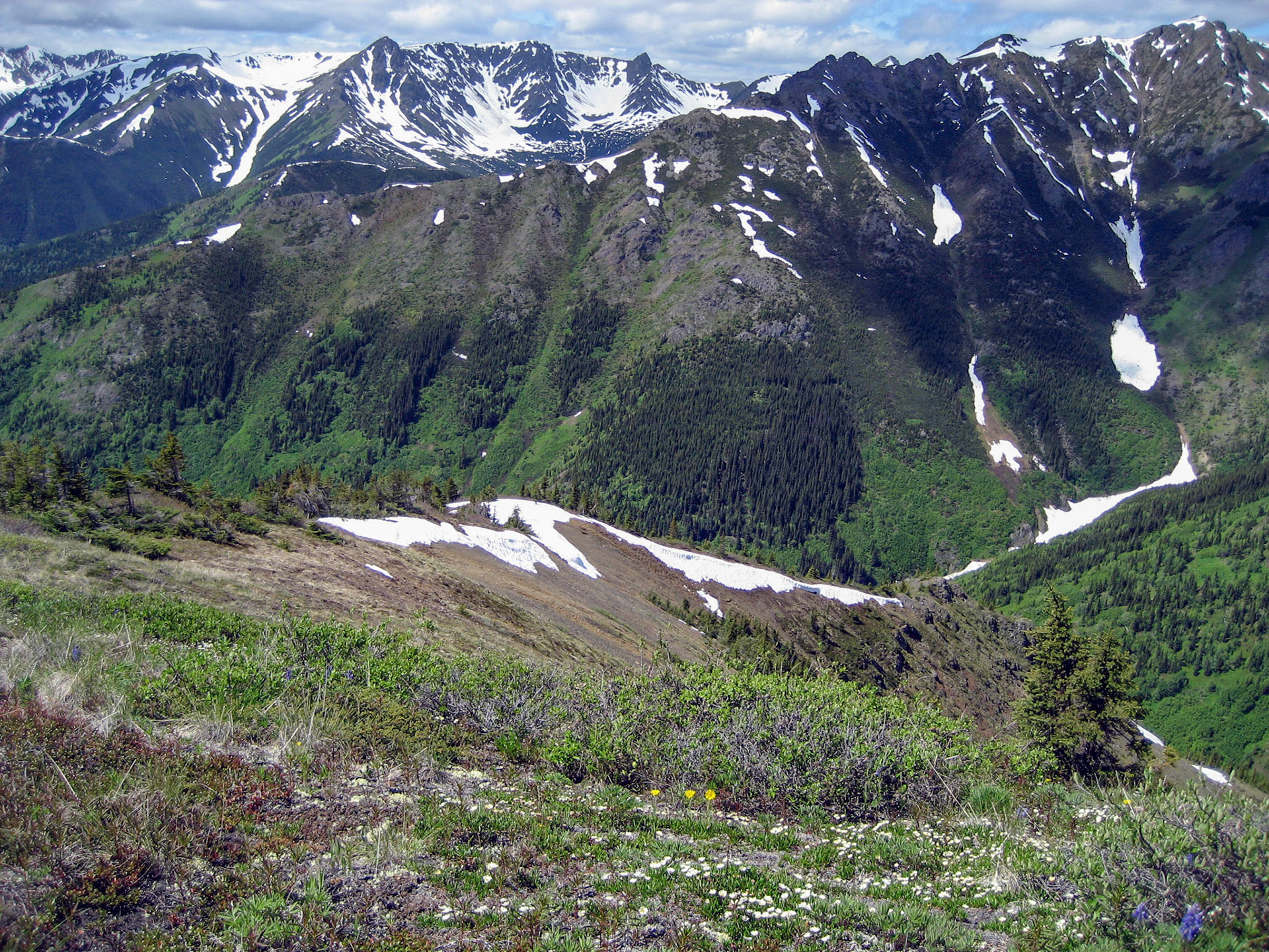 Grass Mountain, British Columbia