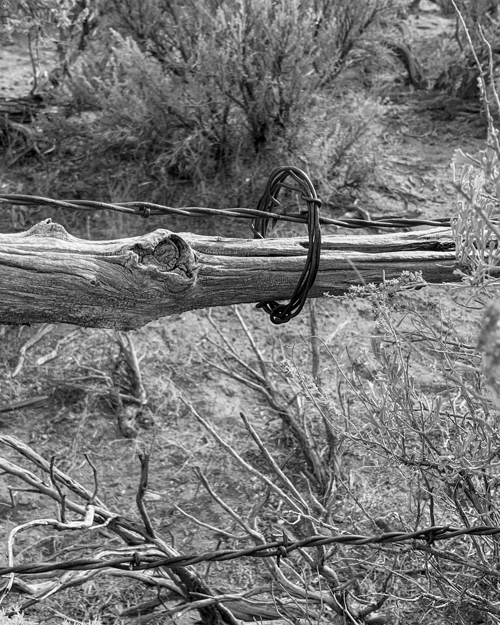 North Black Rock Range Wilderness, NV