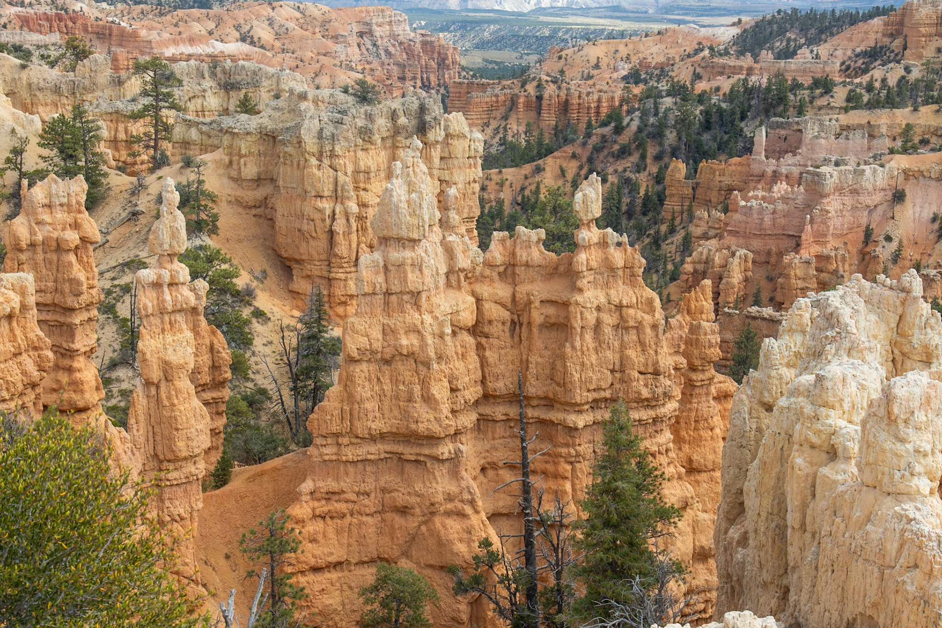 Bryce Canyon, Bryce Canyon NP, Tropic UT