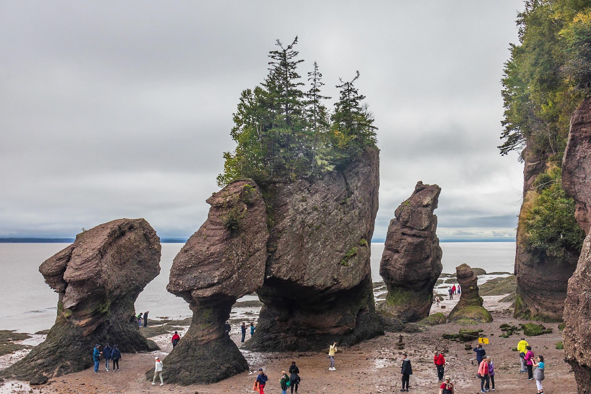 Hopewell Rocks PP, New Brunswick