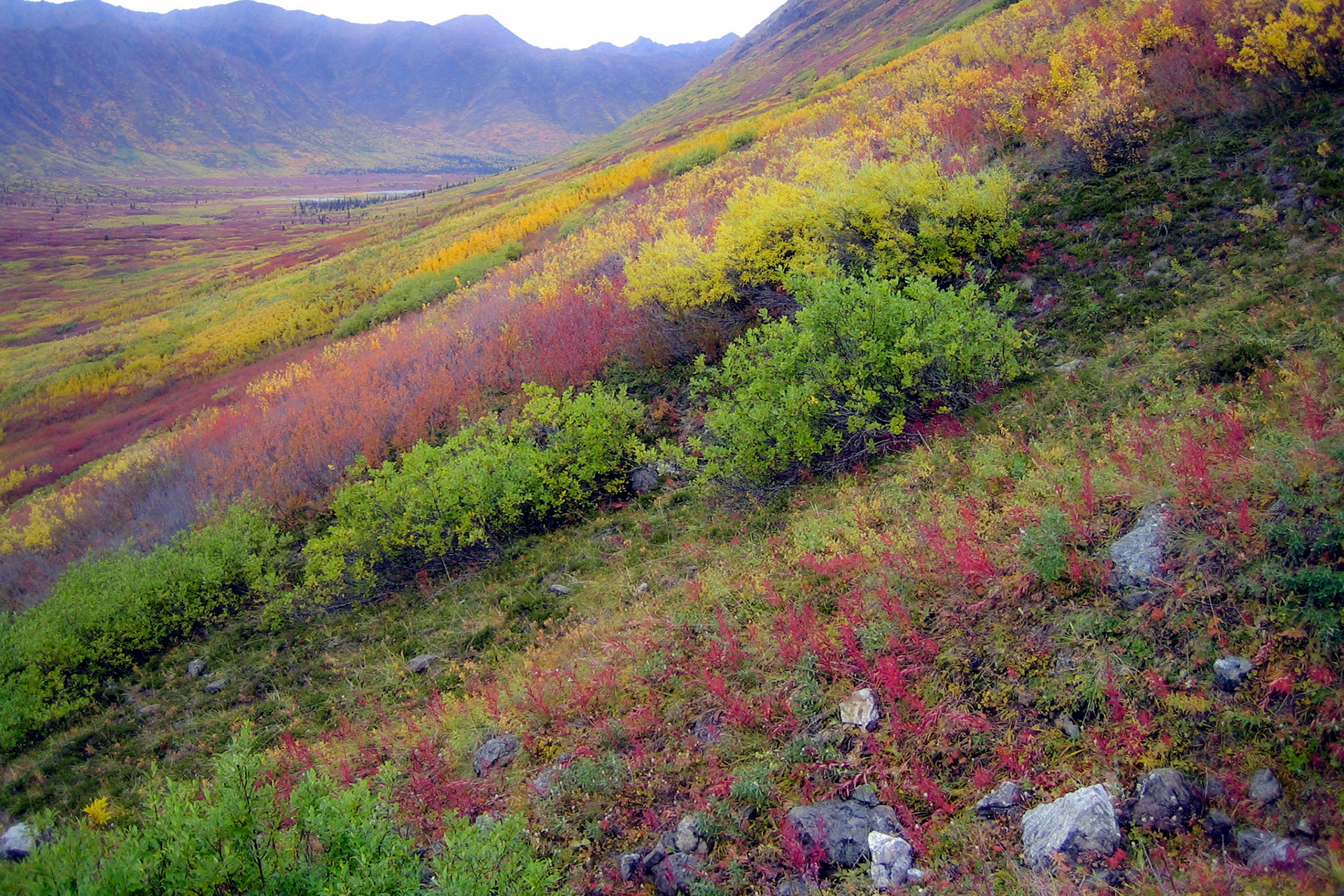 Chugach Mountains, AK