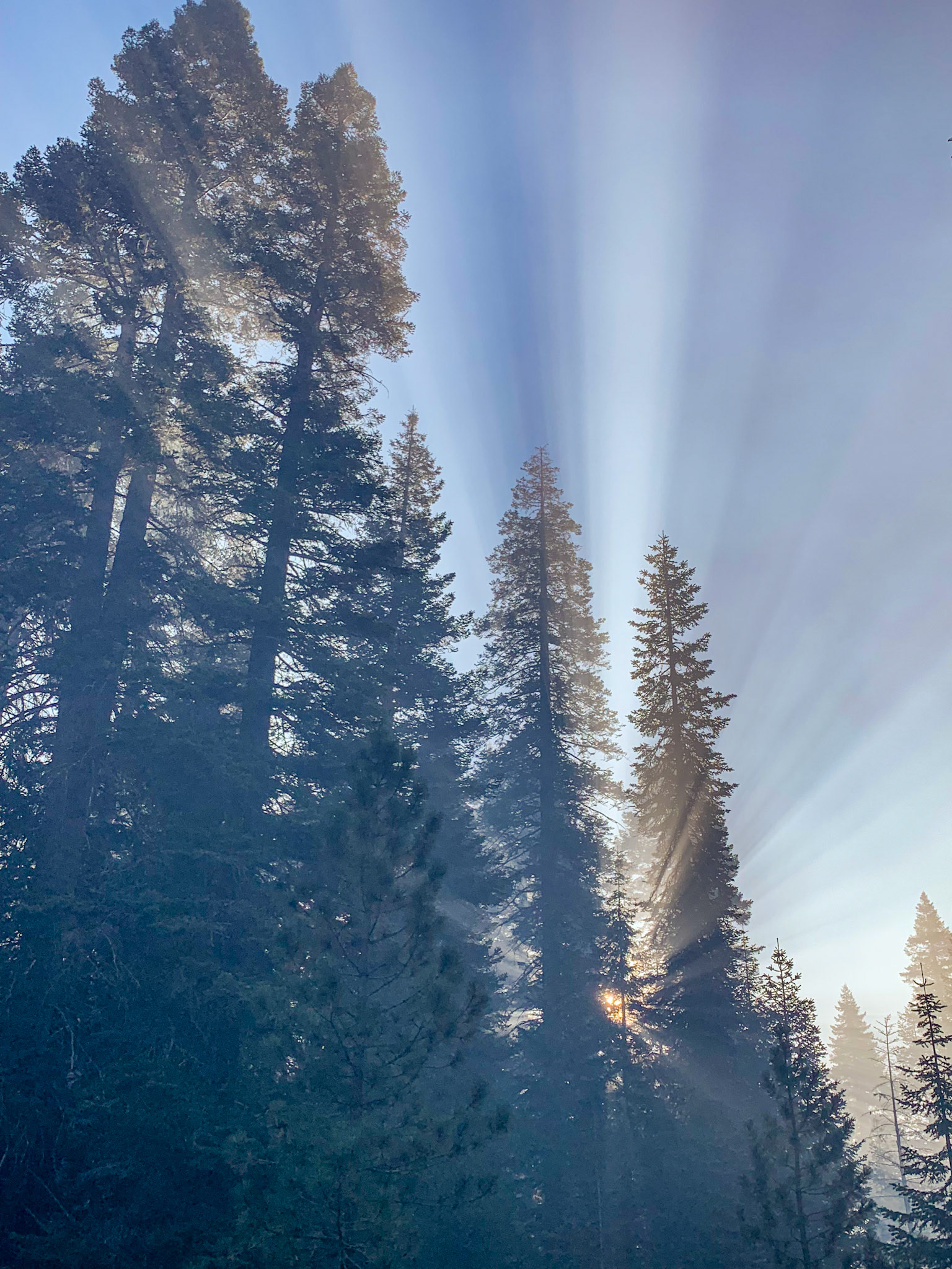 FR 14S29, Hartland CA