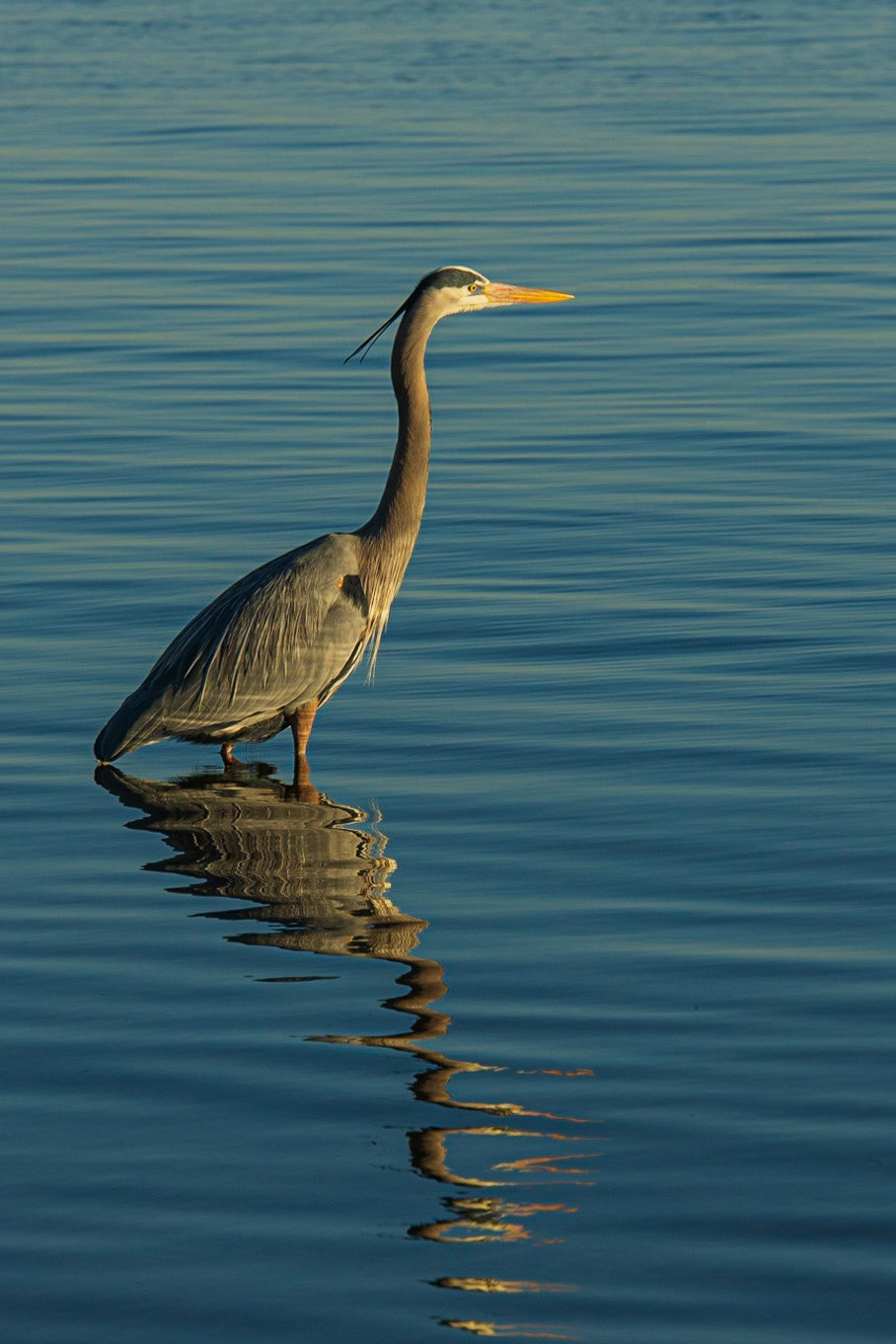 Big Lagoon State Park