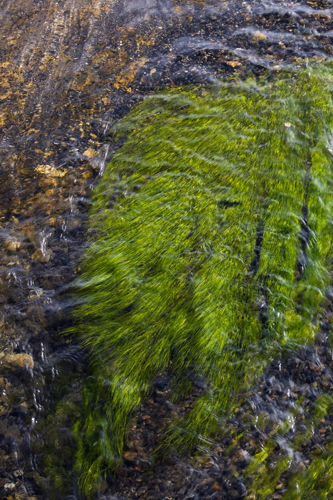 Black Sand Basin Yellowstone NP WY