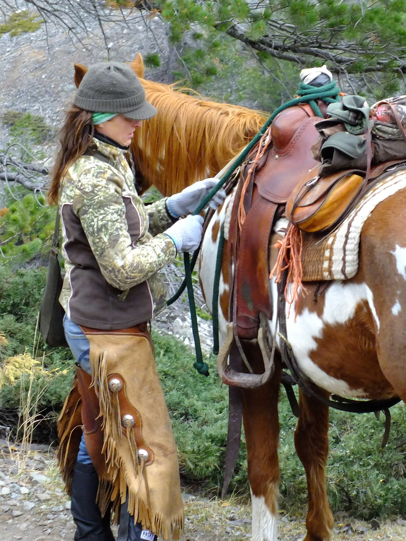 Shoshonee Willderness, WY