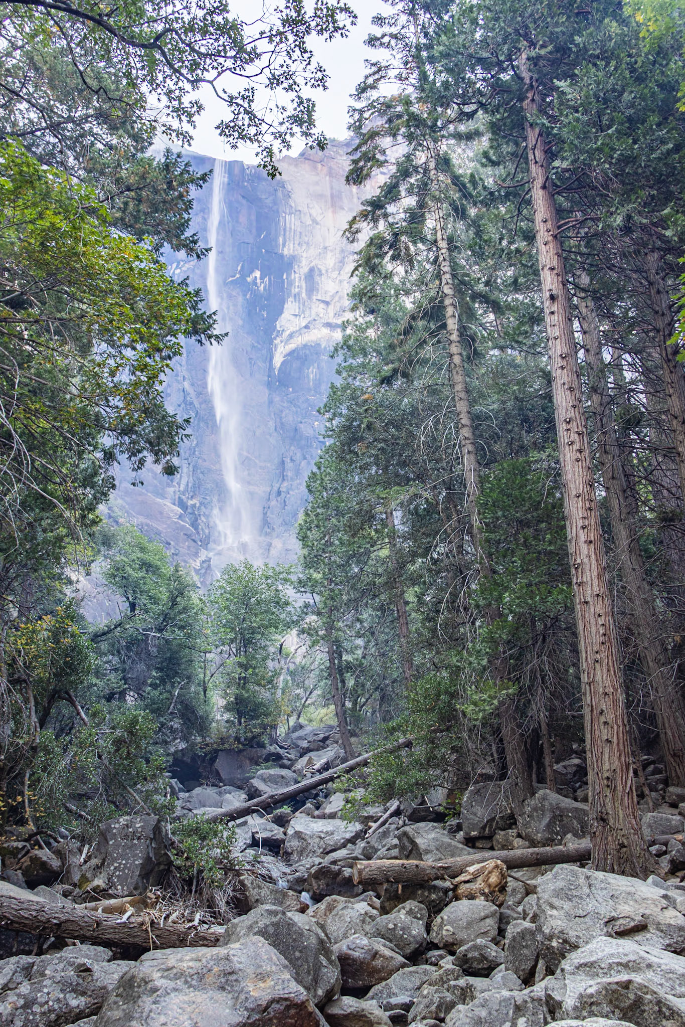Yosemite NP, Yosemite Valley CA