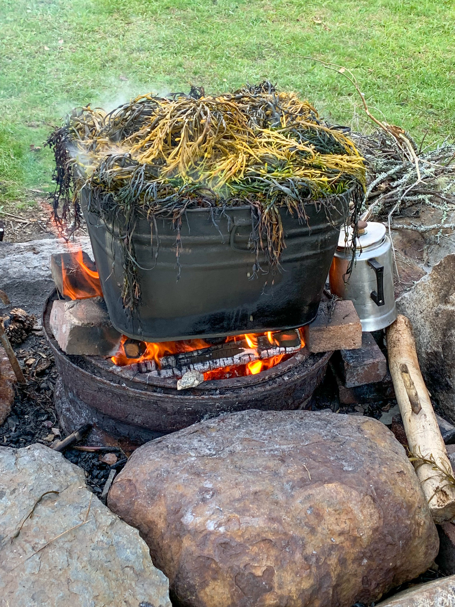 Warren Island State Park, ME