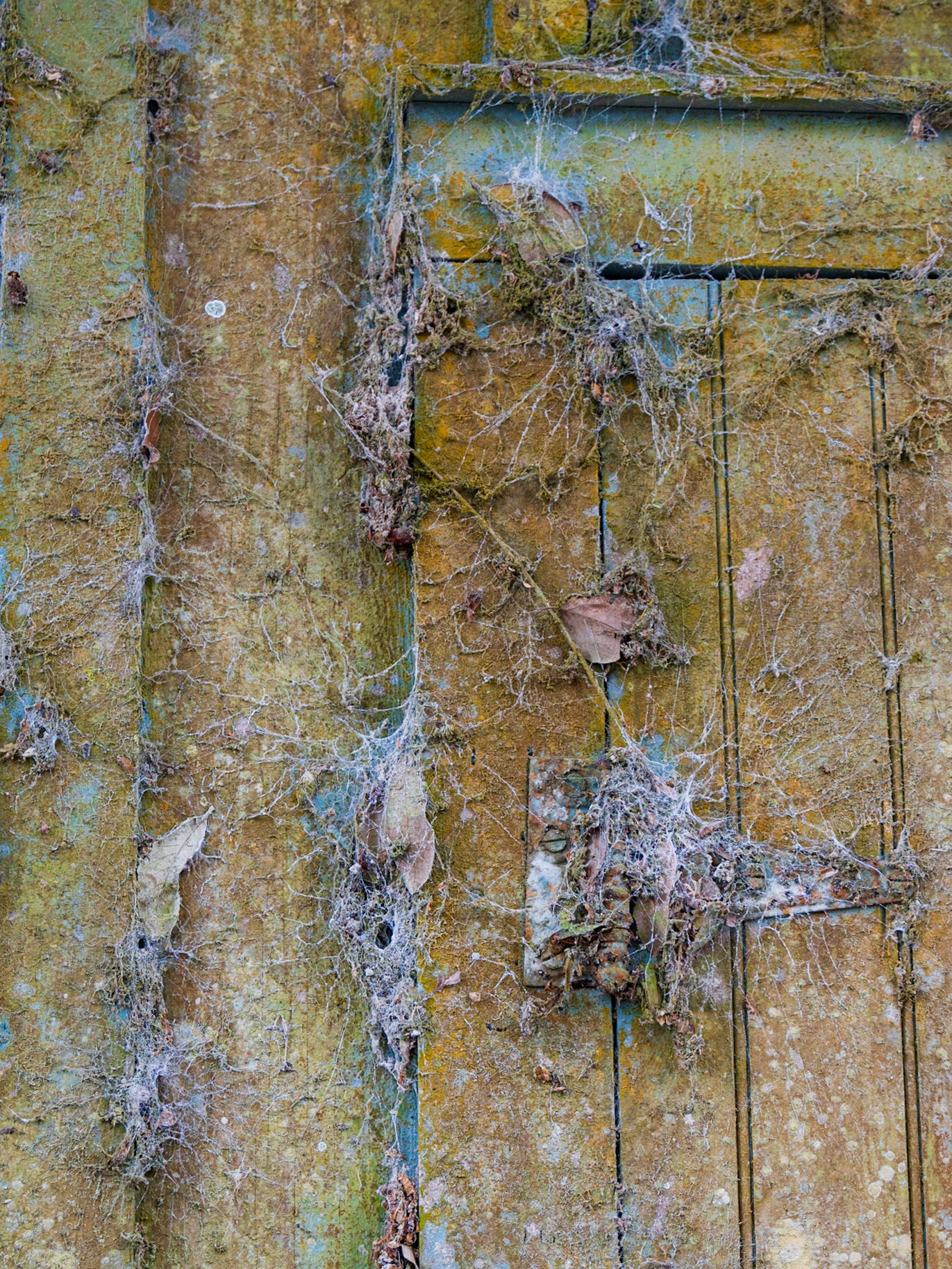 Avery Island Jungle Gardens LA