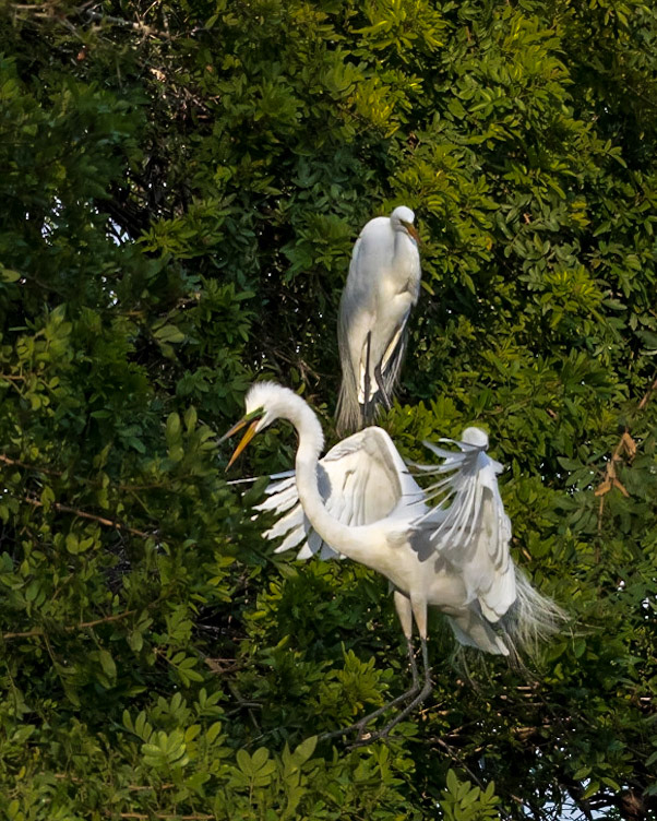 Wilderness Park CG, Fussels Corner, FL