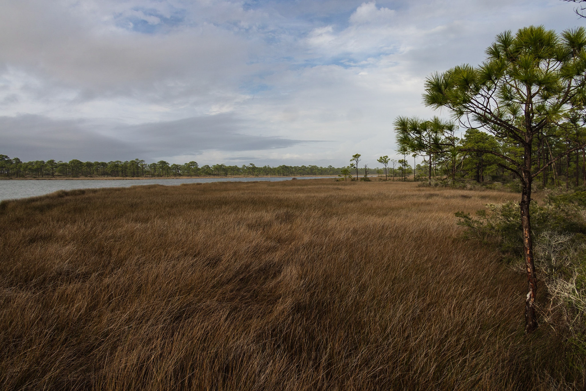 Saint George Island SP,FL