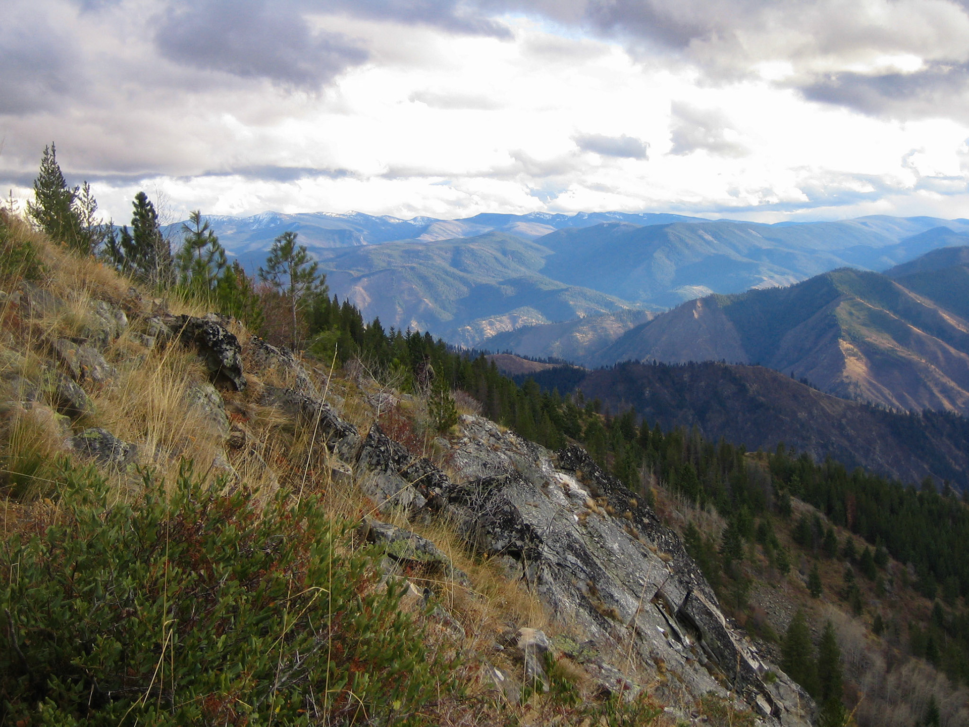 Bitterroot Mountains, Salmon ID