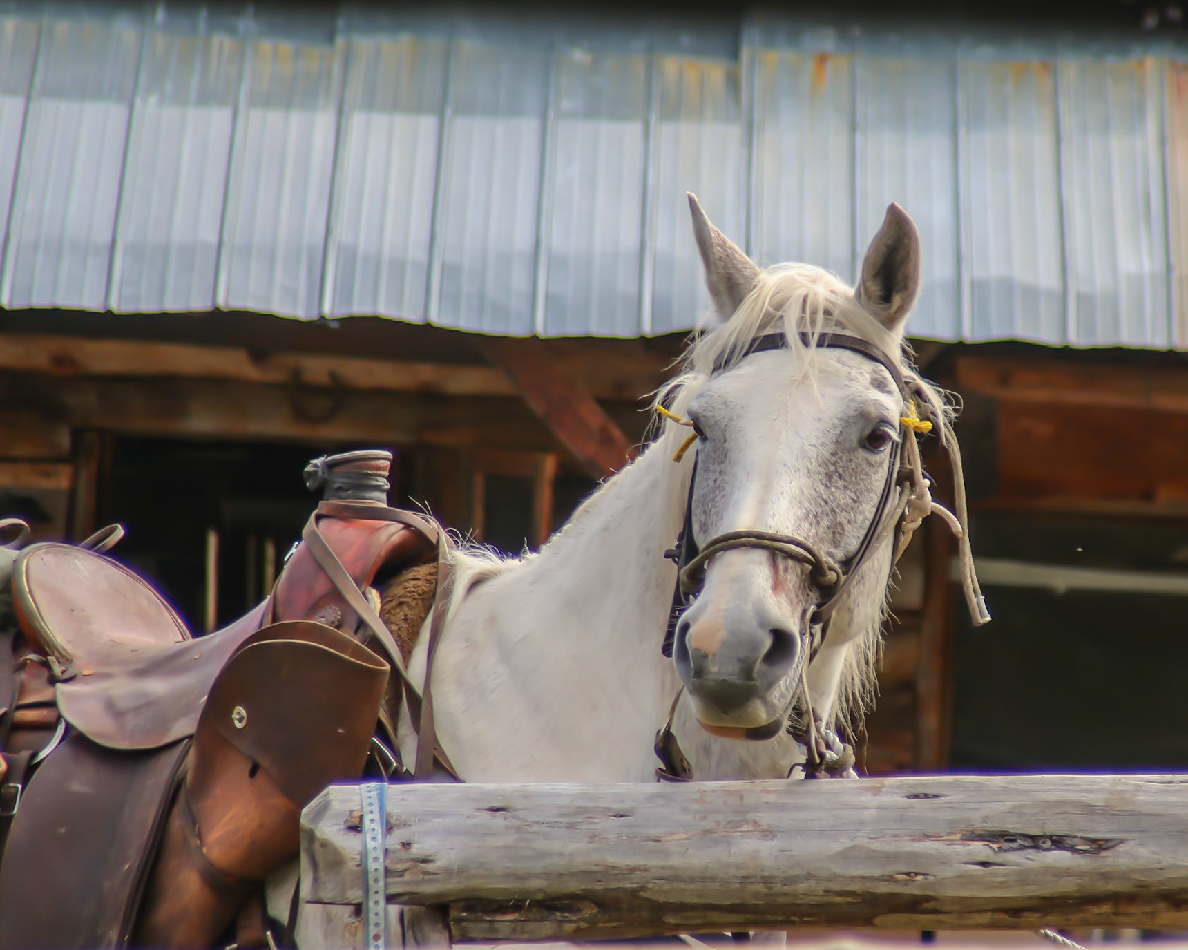 Hyland Ranch, Telegraph Creek BC CA