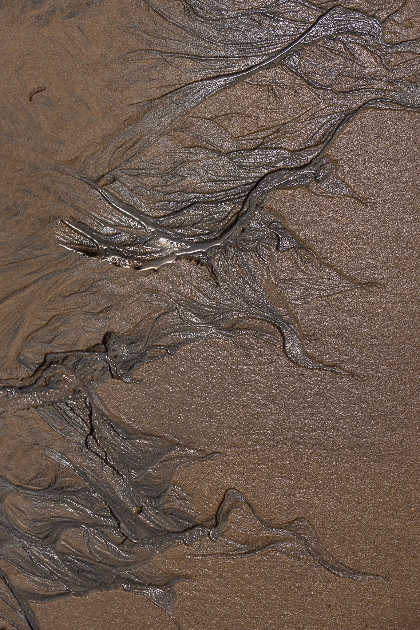 Chemin de l'anse Charron QC