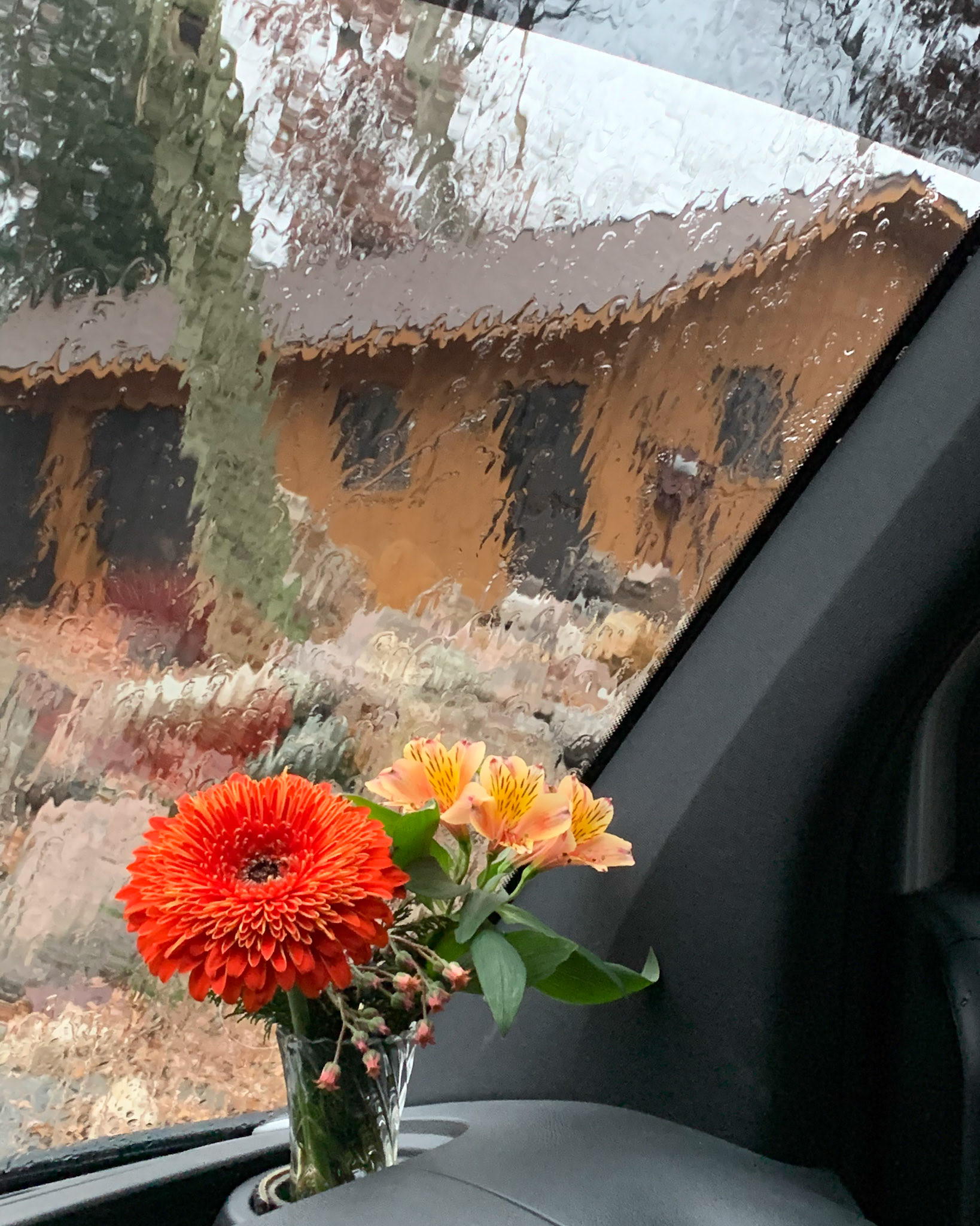 Cobb Lake, Headed to AZ