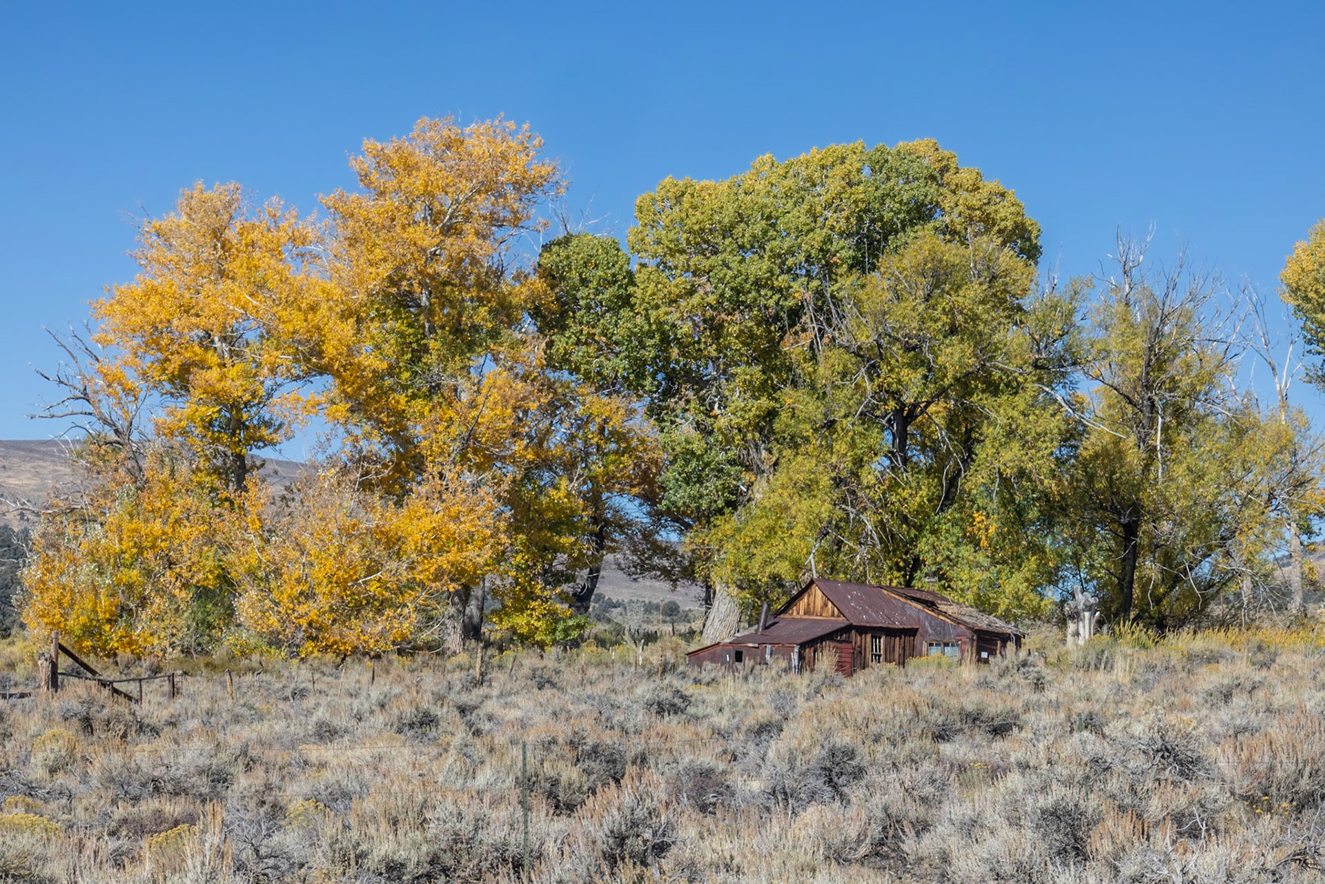 Bodie State Historical Park, Bridgeport CA