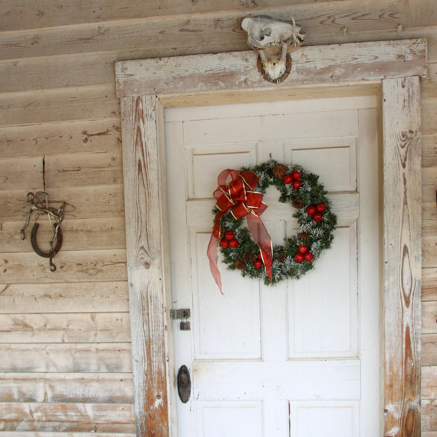 Hale Ranch, Harshaw AZ