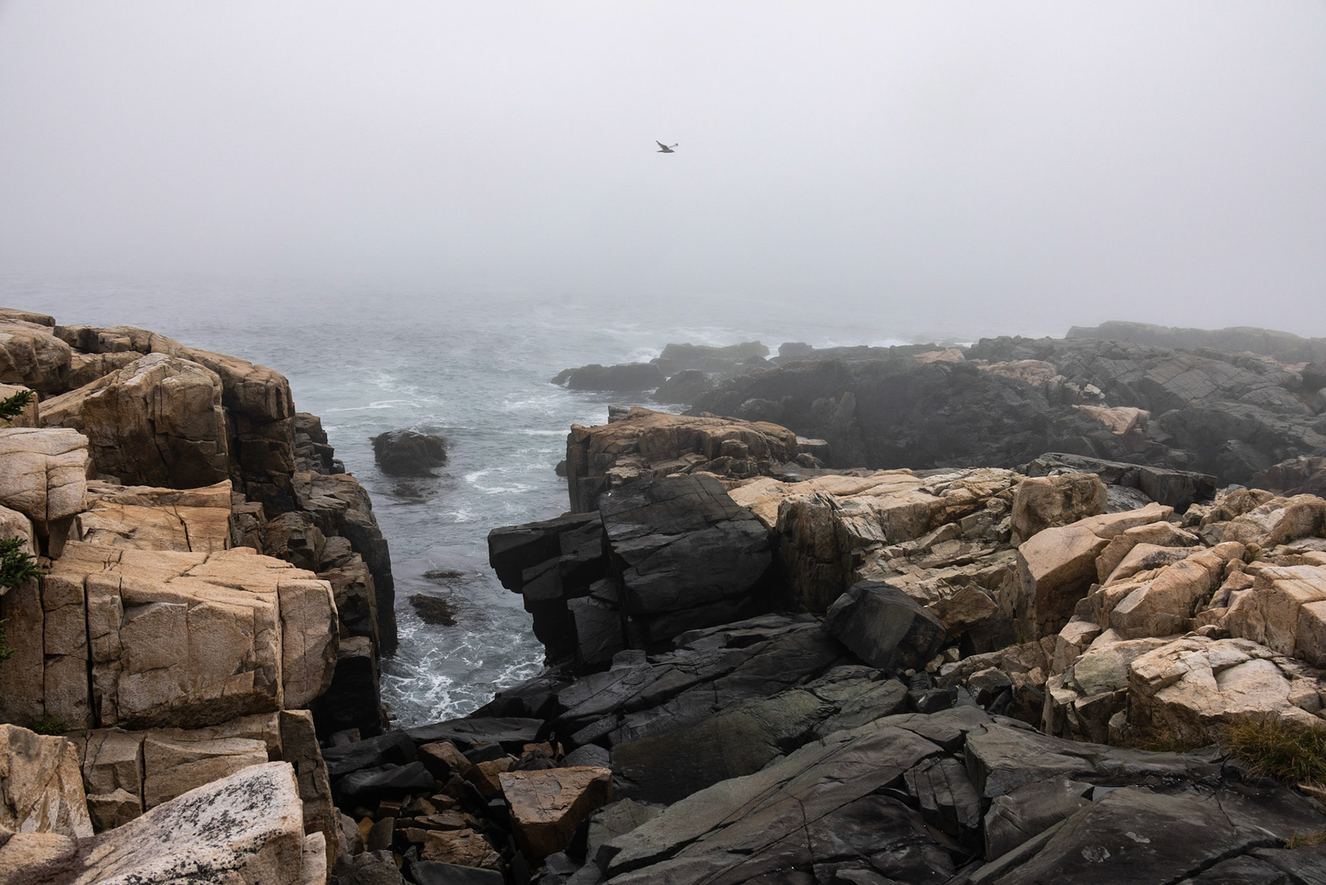 Schoodic Point, ME