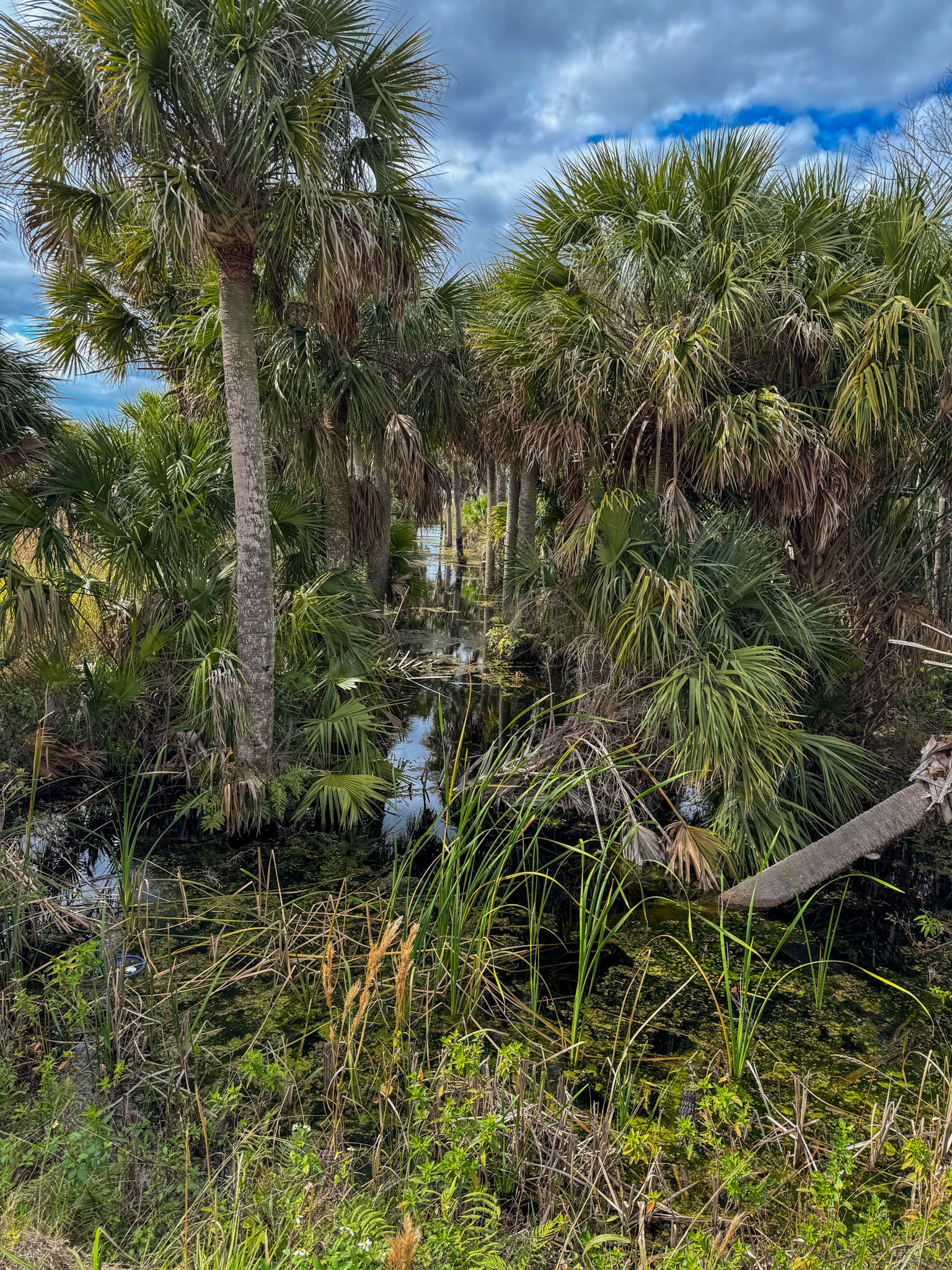Emeralda Marsh Leesburg FL